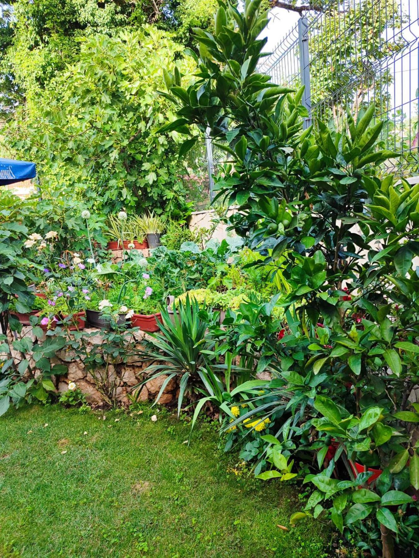 Apartman Sonja Trebinje