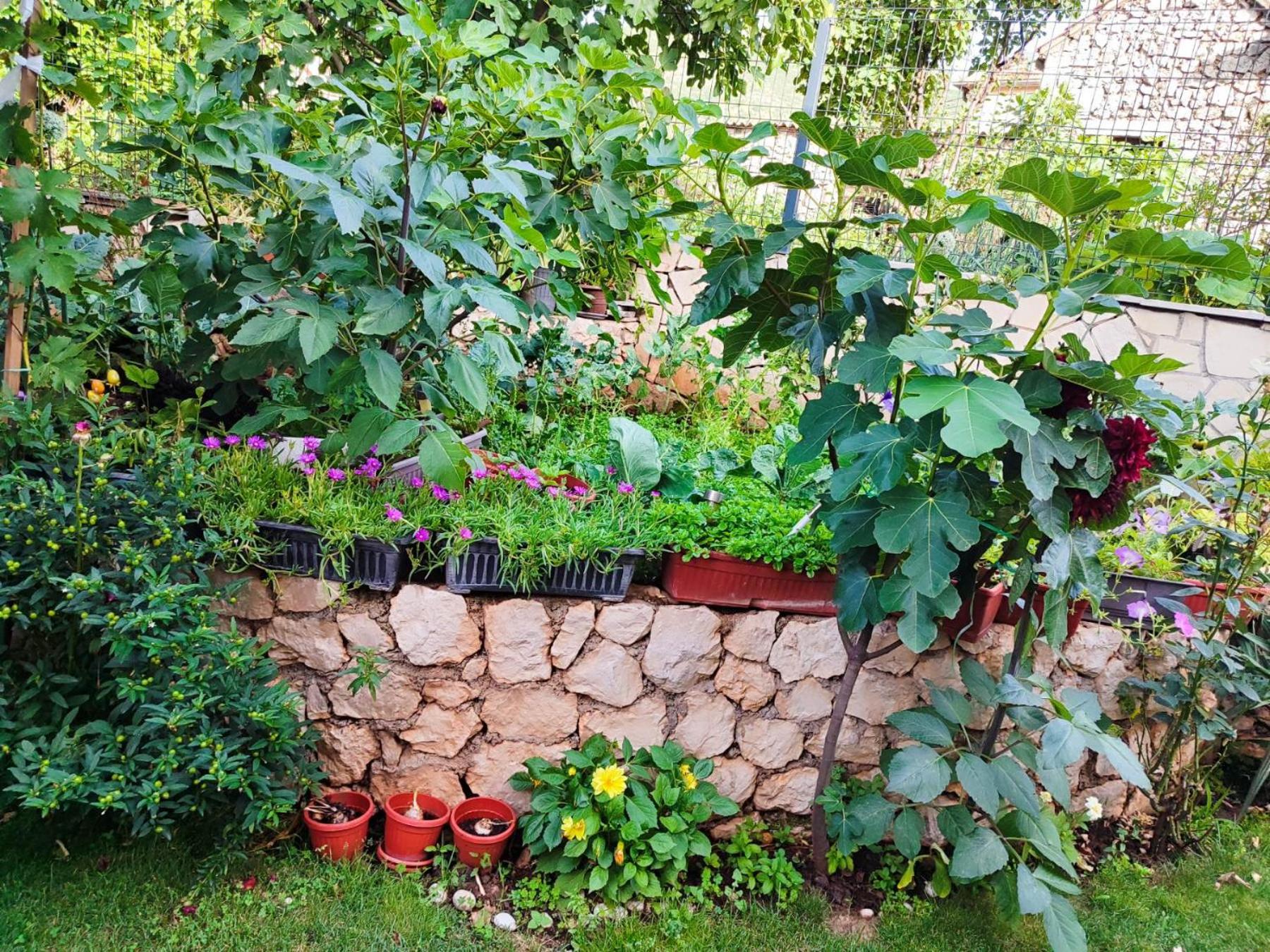 Apartman Sonja Trebinje