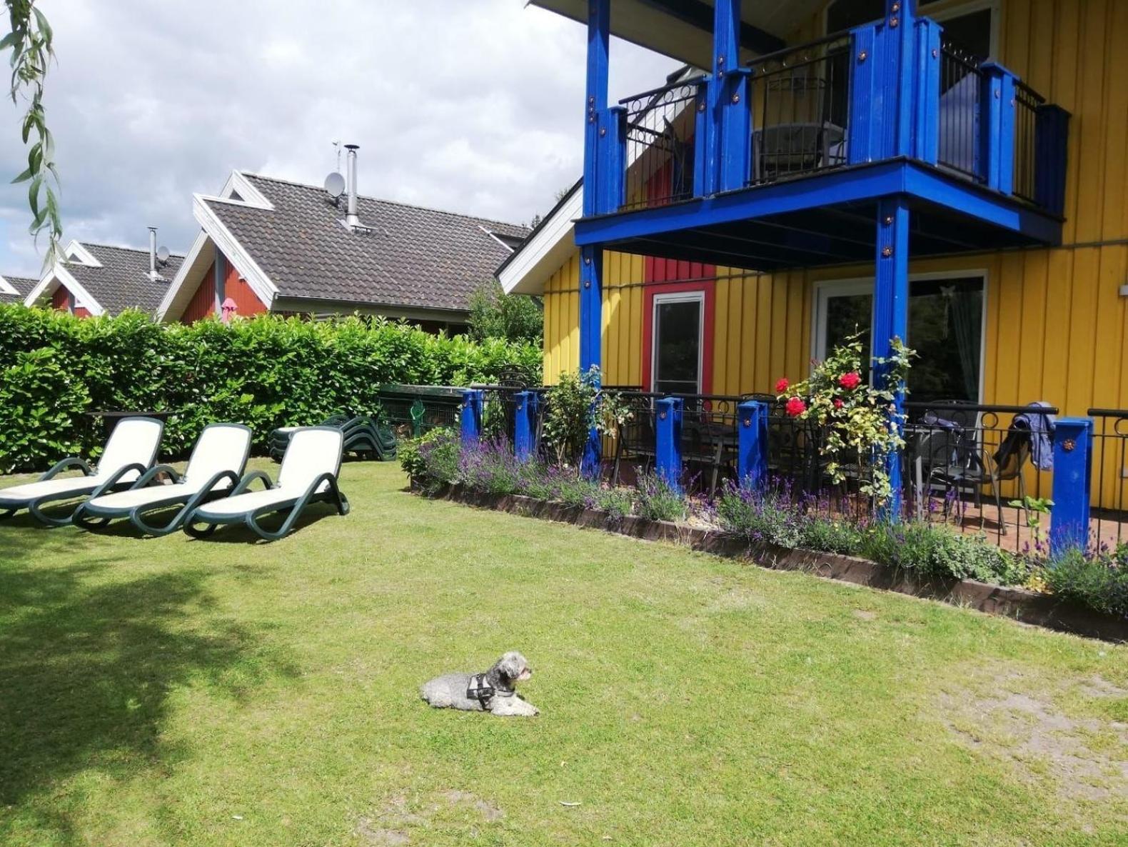 Ferienhaus in Neuringe mit Whirlpool, Grill und Terrasse