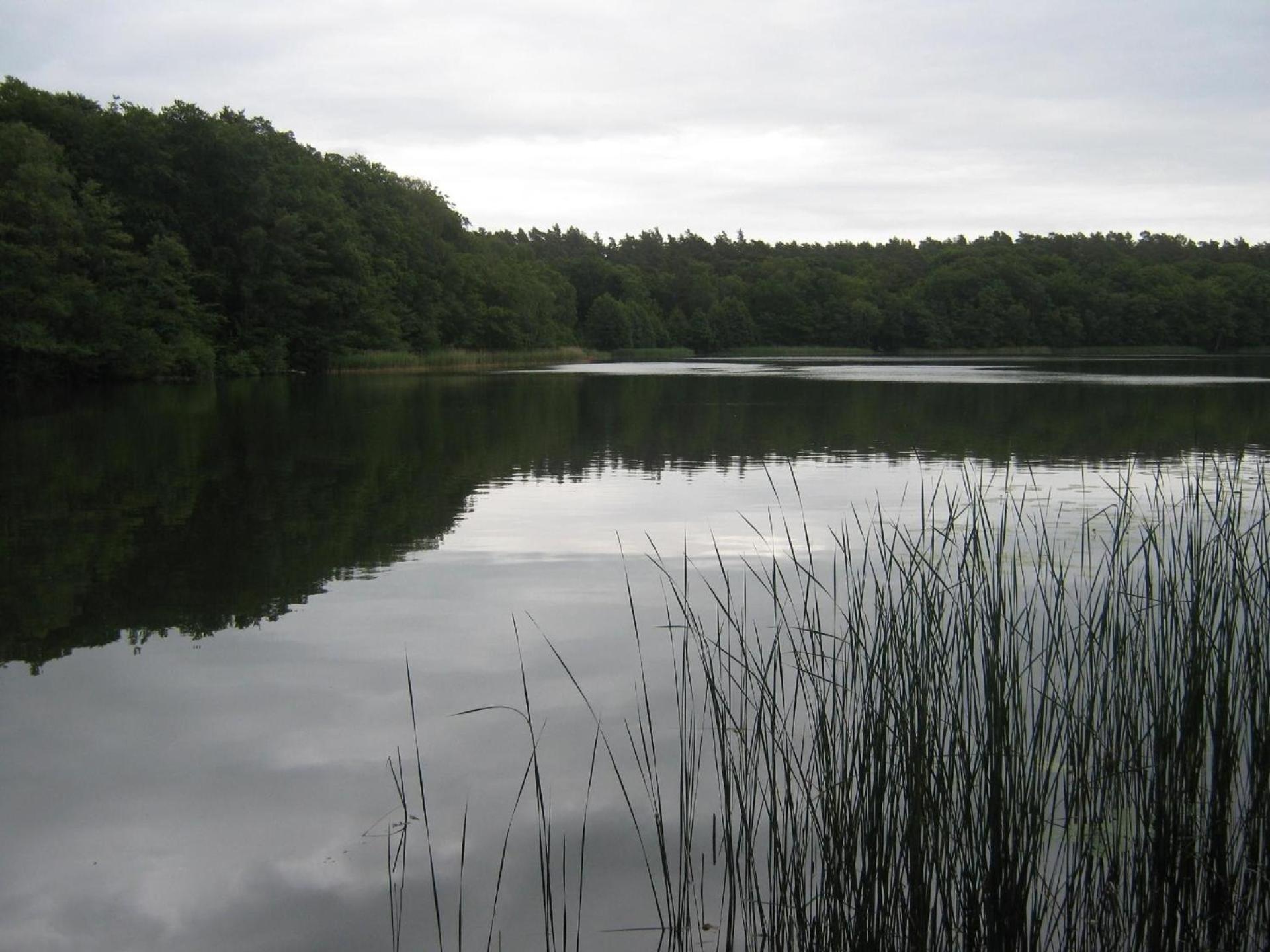 Gemütlicher Ferienbungalow mit eigenem Ruderboot