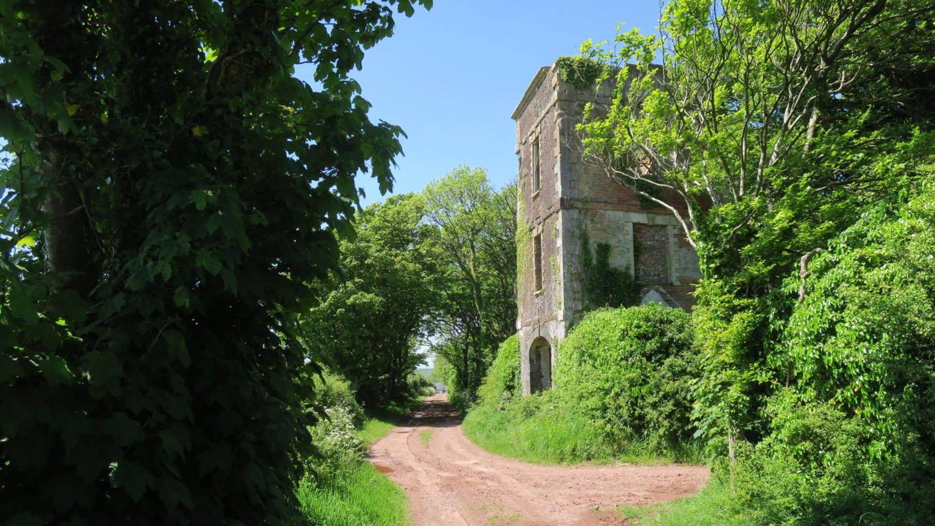 Photo 45