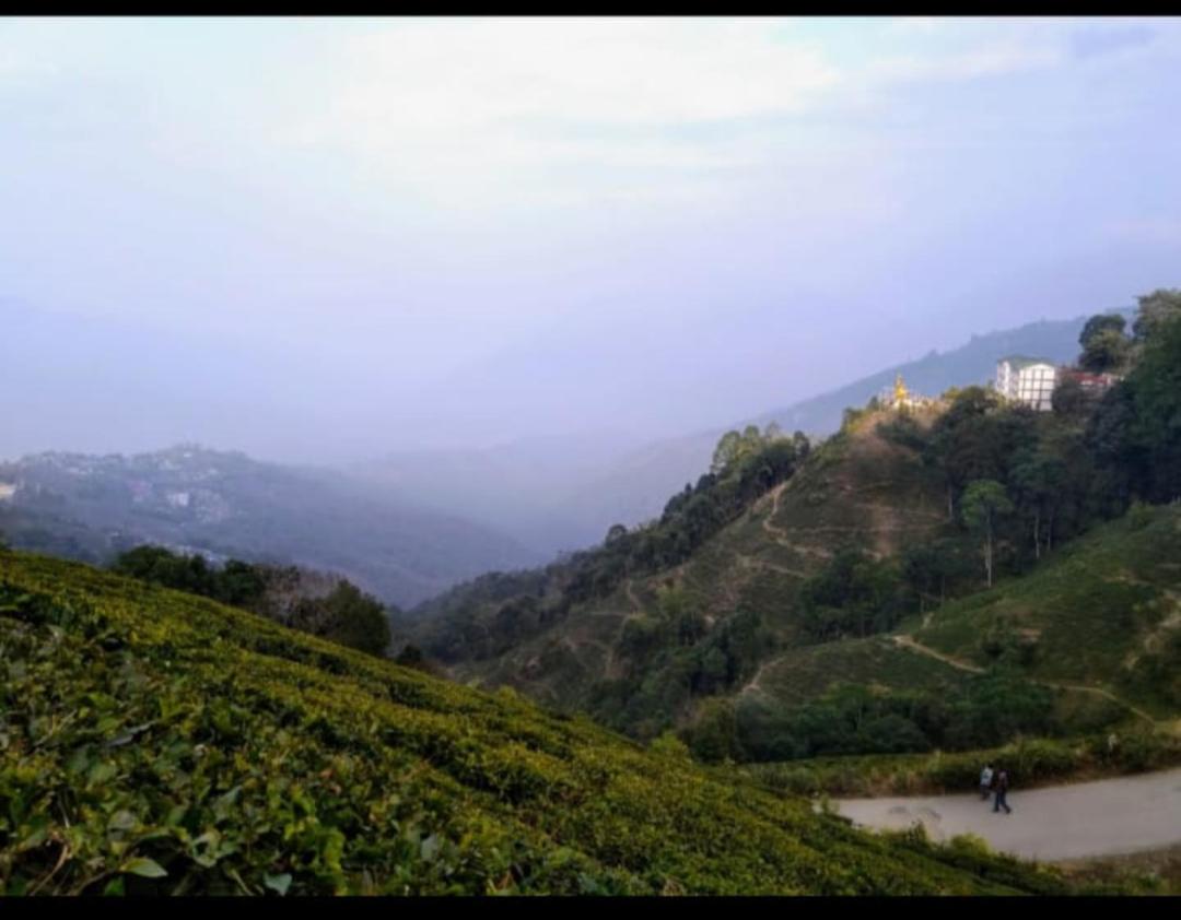 Mountain Homestay