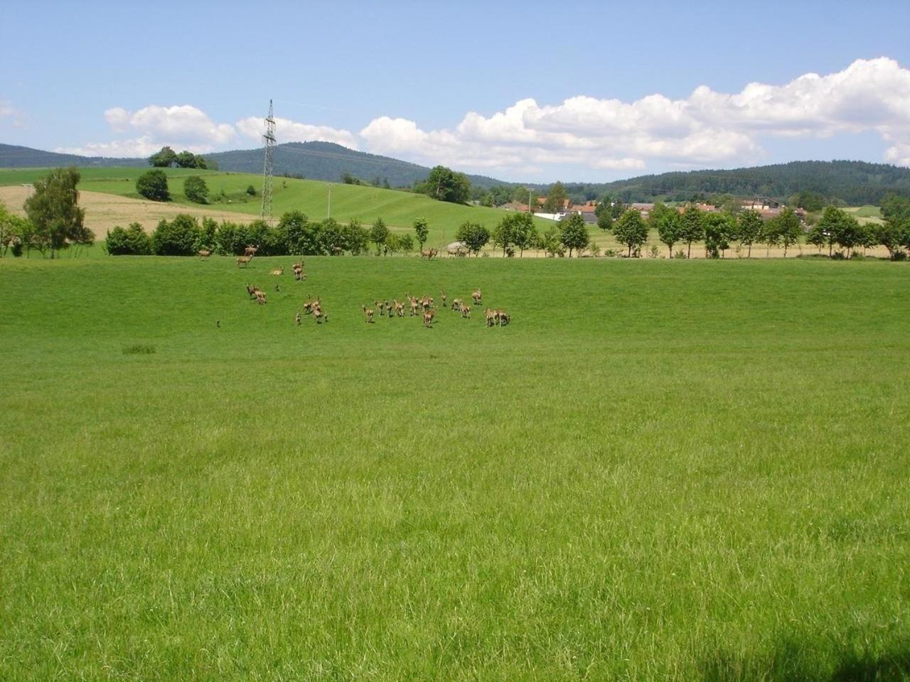 Ferienhaus Tamara In Eppenschlag