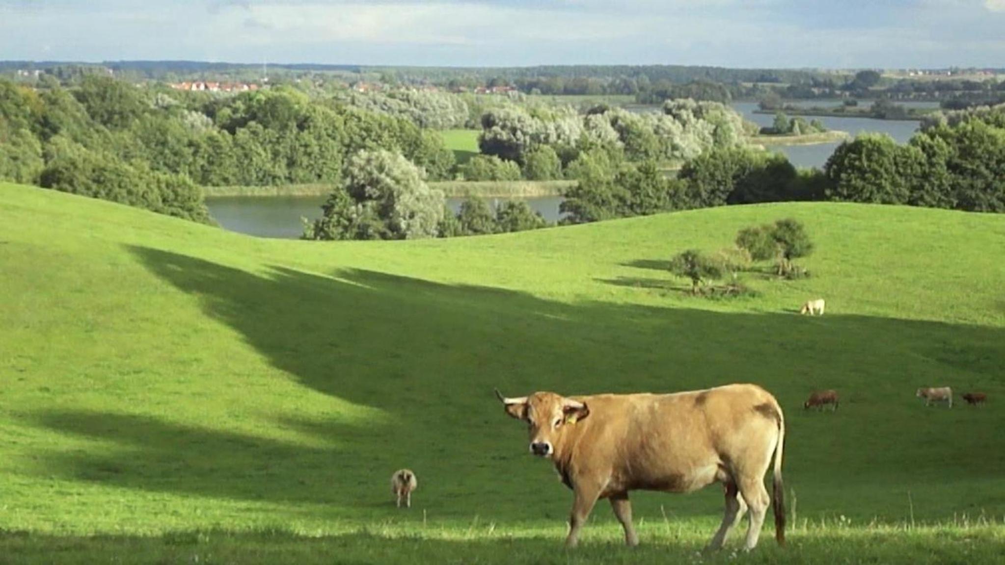 Großzügige Ferienwohnung mit toller Aussicht