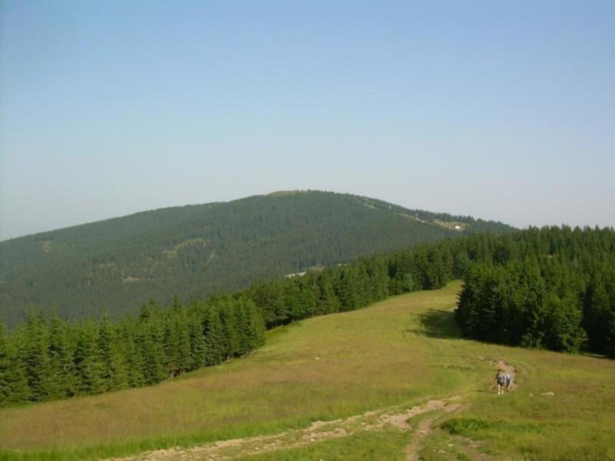 Appartement Rozika