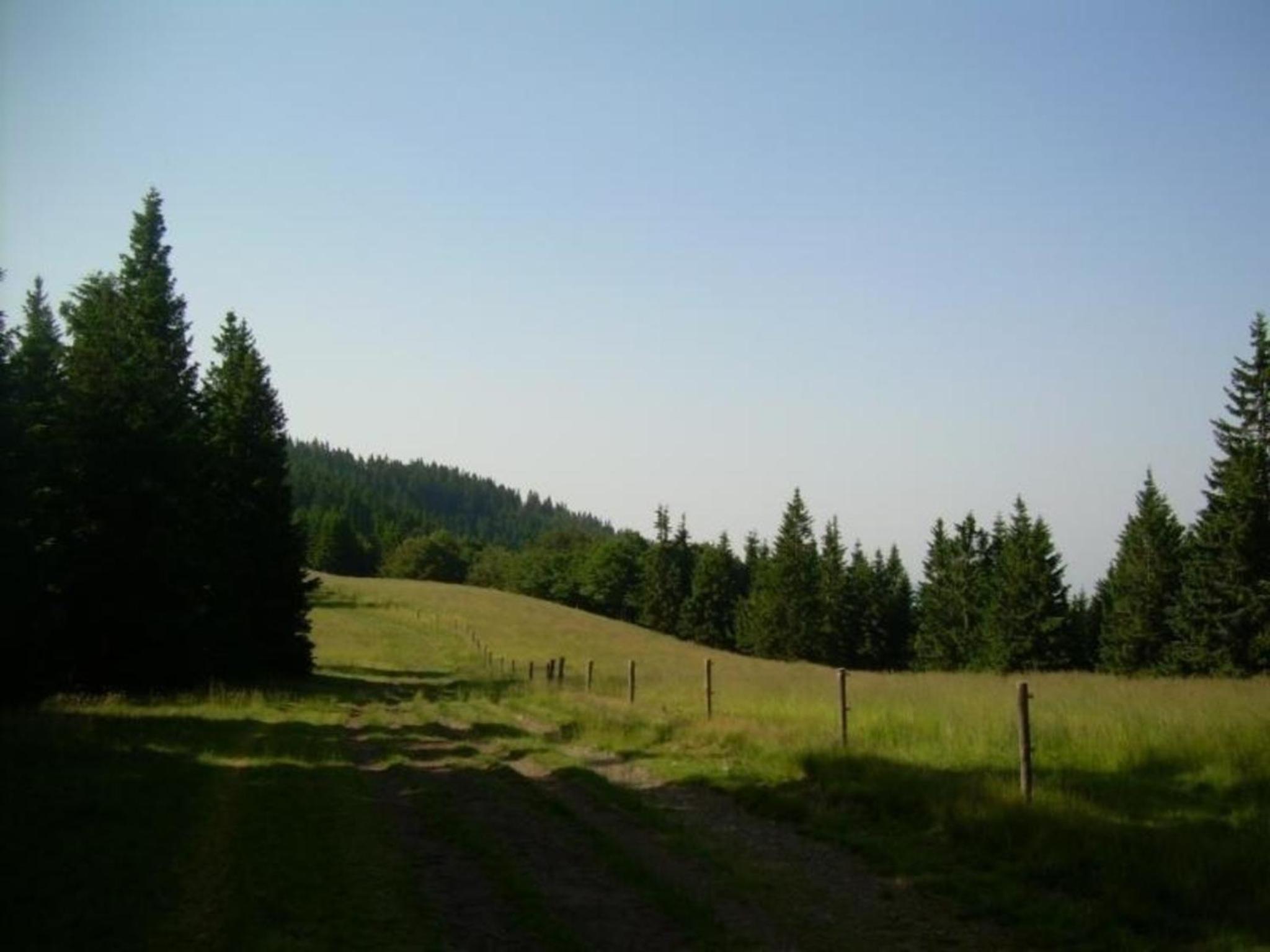 Appartement Rozika