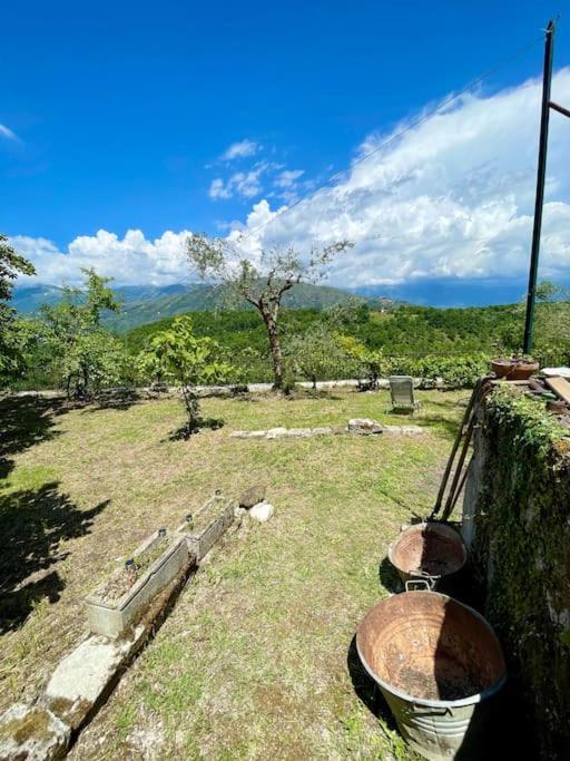 Belvedere da Fernanda