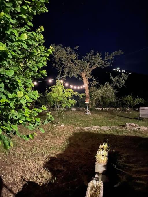 Belvedere da Fernanda
