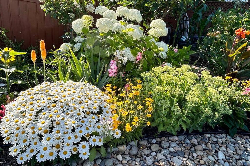Ocean View Garden House