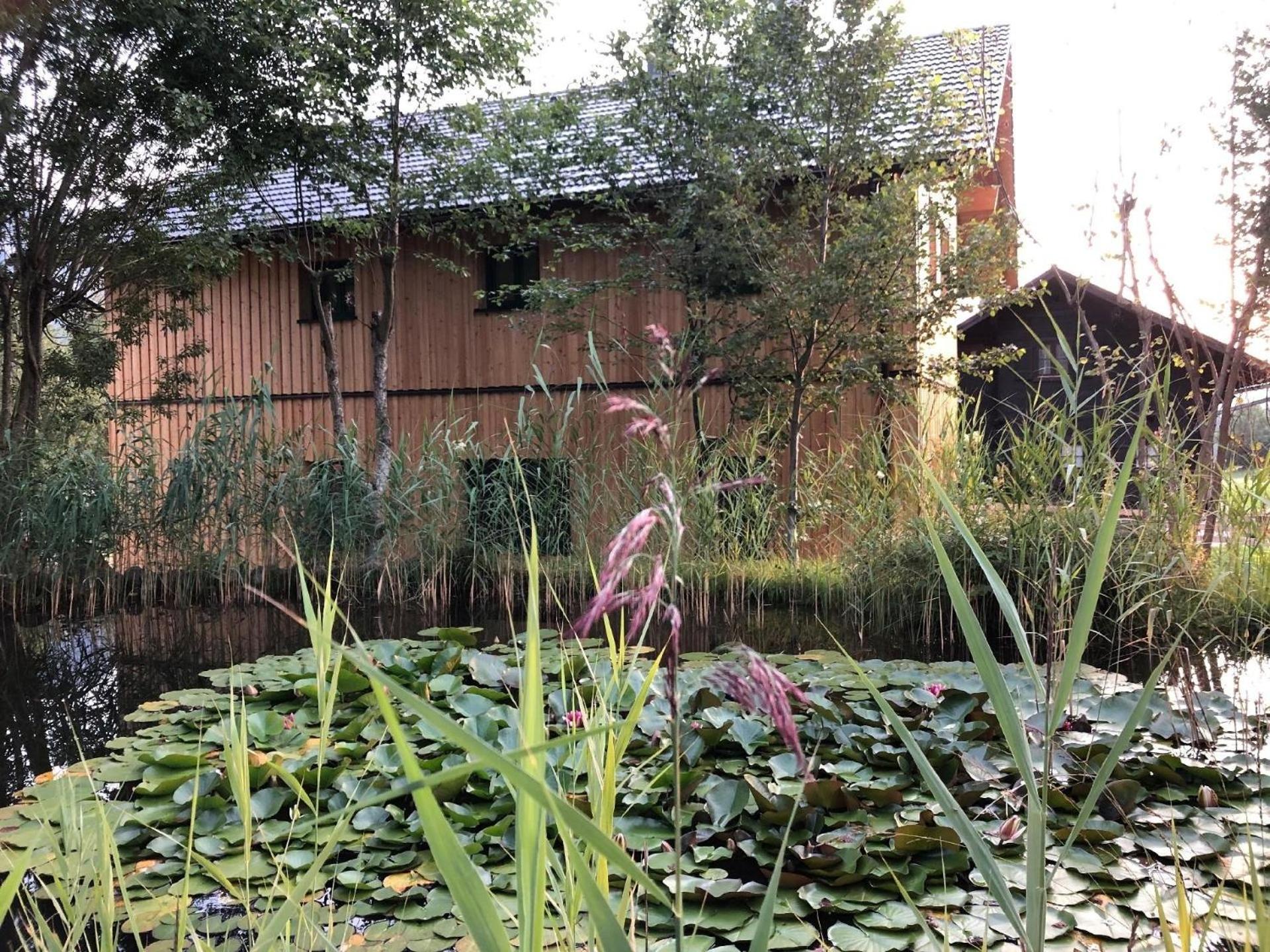 Nette Wohnung in Bad Aussee mit Garten und Grill und Bergblick