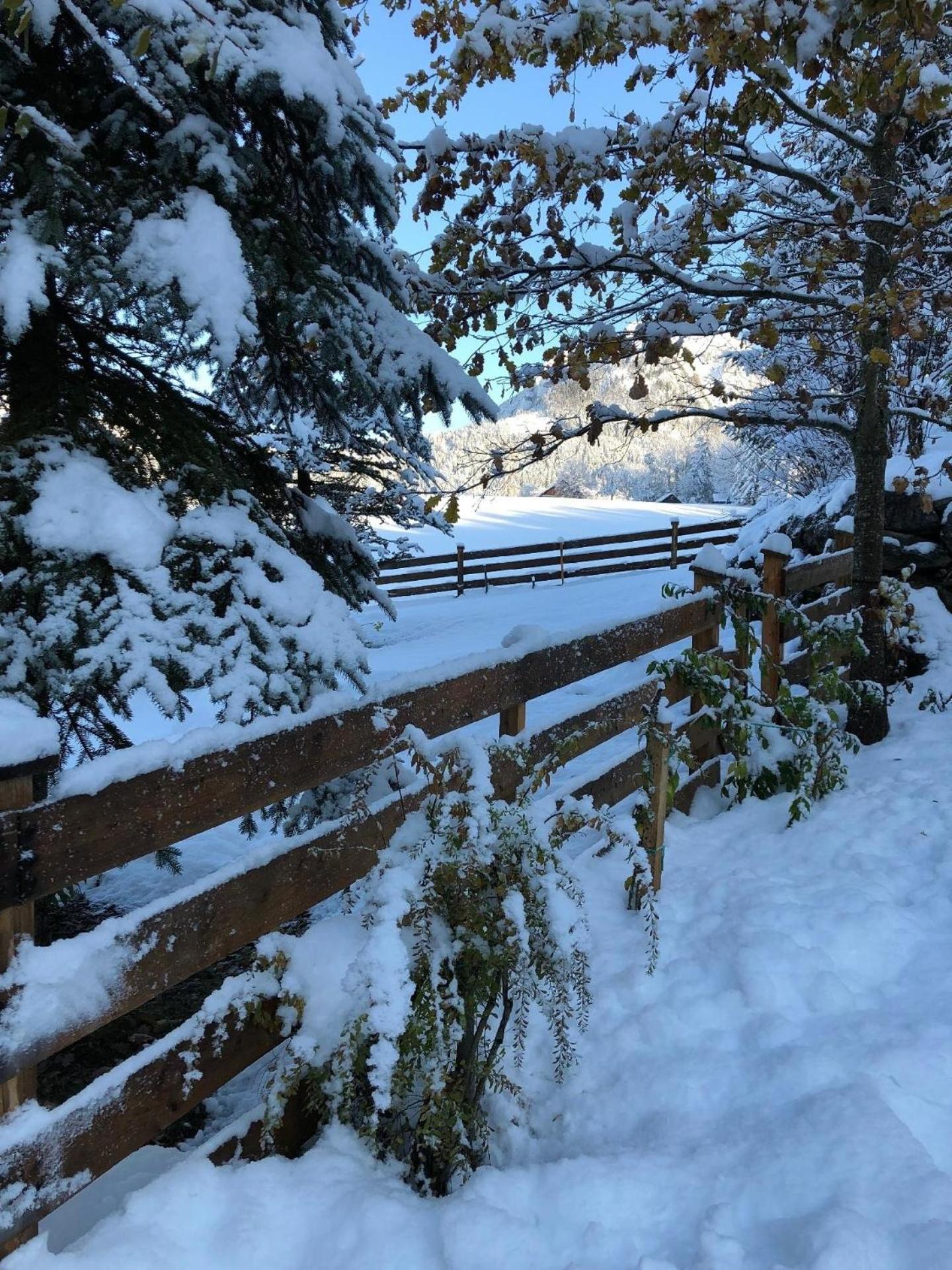 Nette Wohnung in Bad Aussee mit Garten und Grill und Bergblick