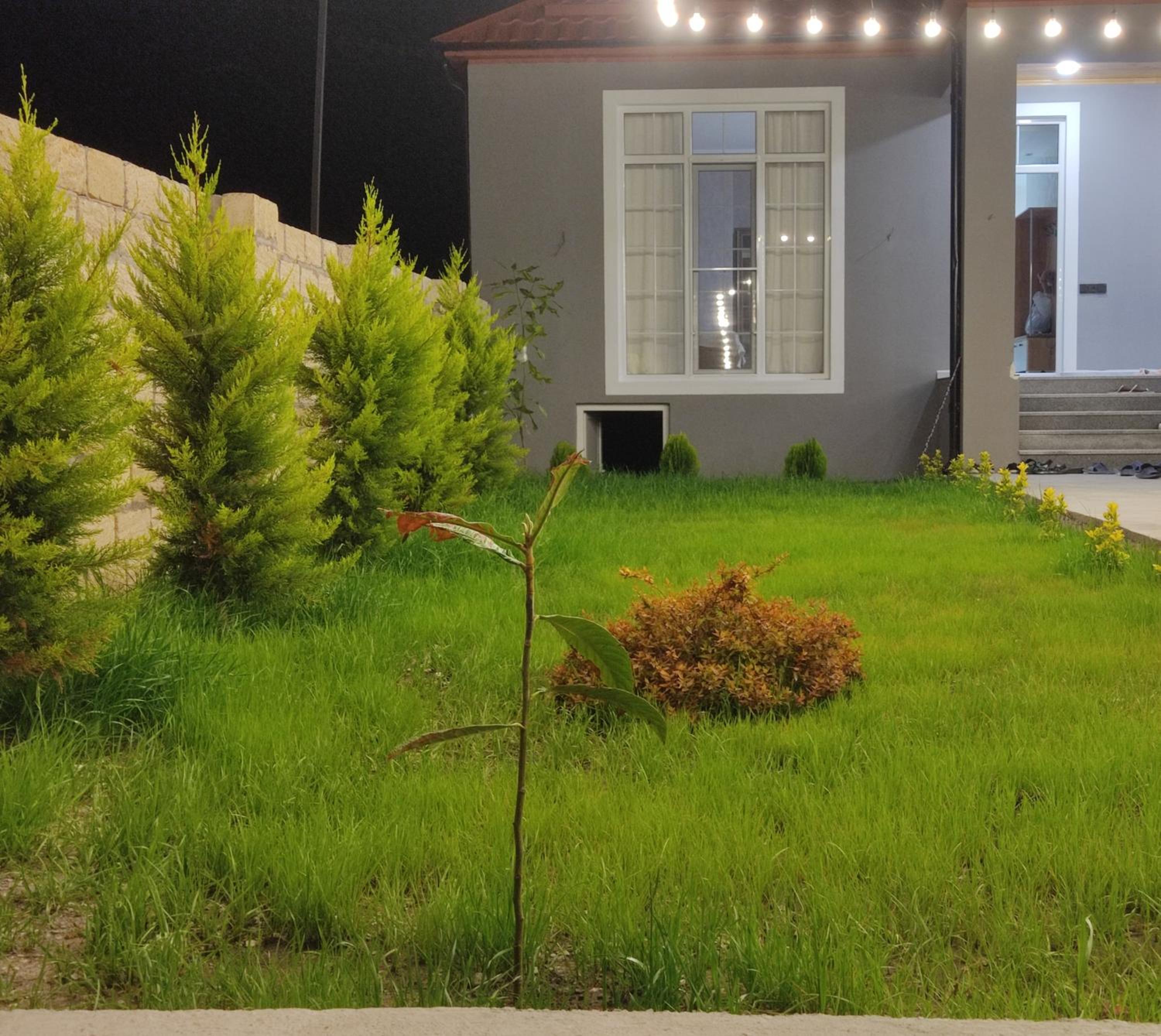 Old land guest house