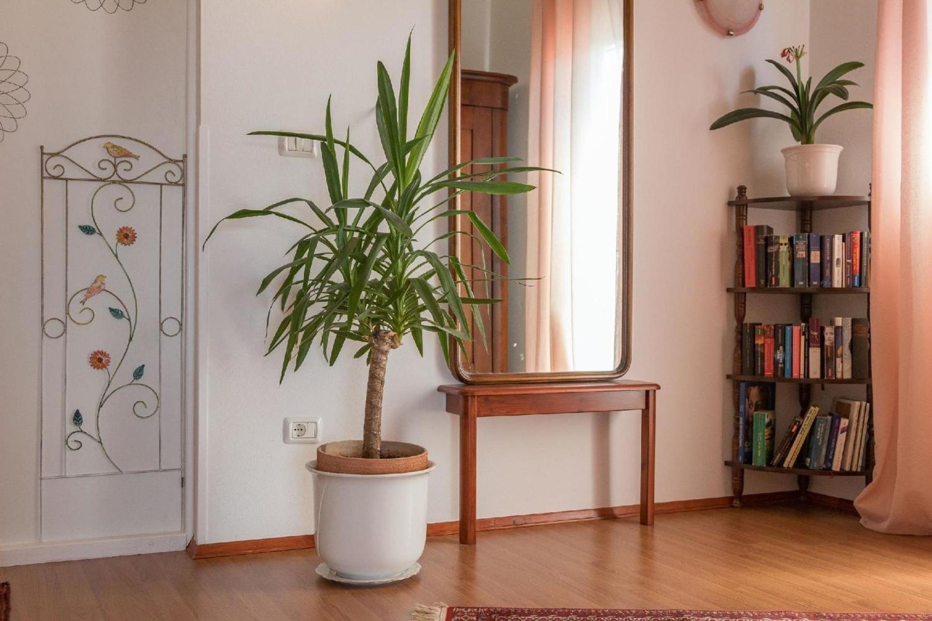 Villa Natalia Peroj, mit privaten Pool