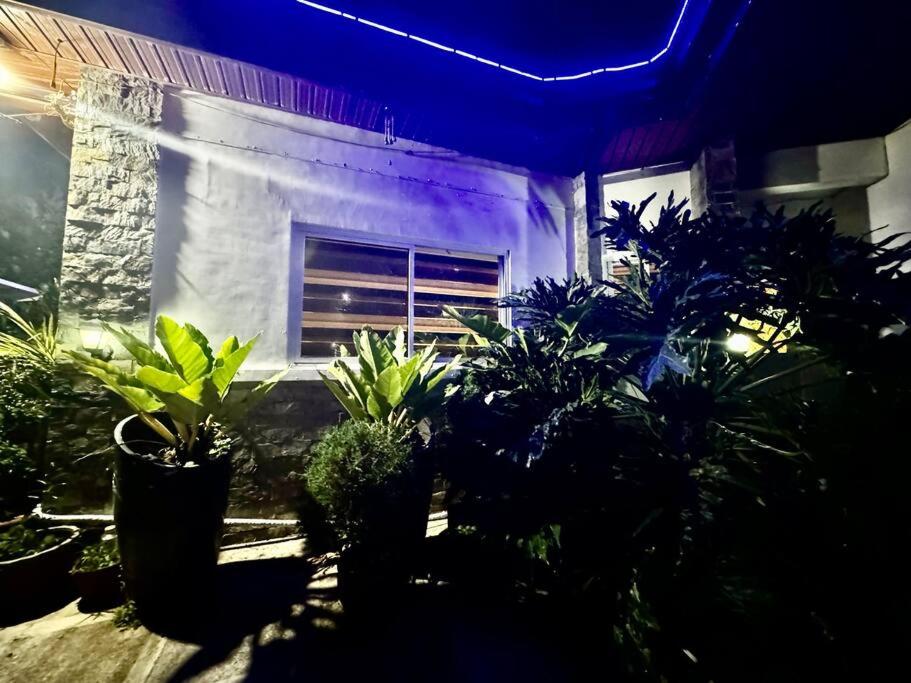 Casa Alexandria