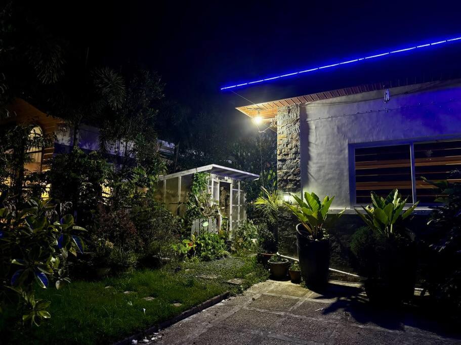 Casa Alexandria