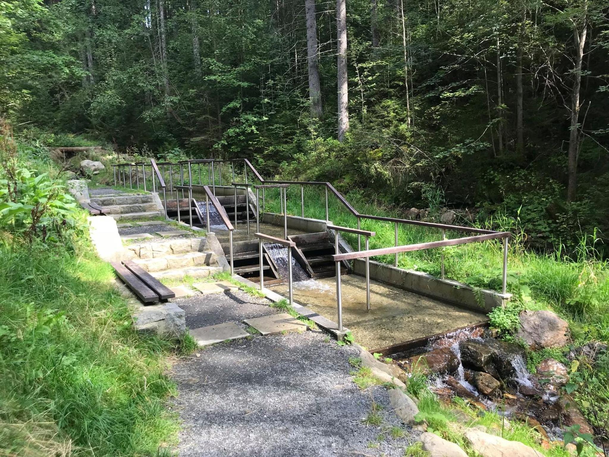 Apartmán REZE Šumava