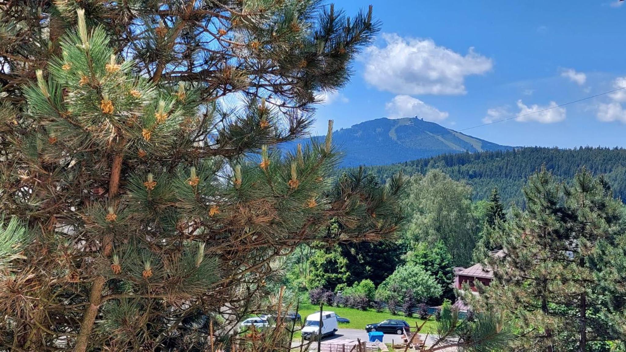 Apartmán REZE Šumava