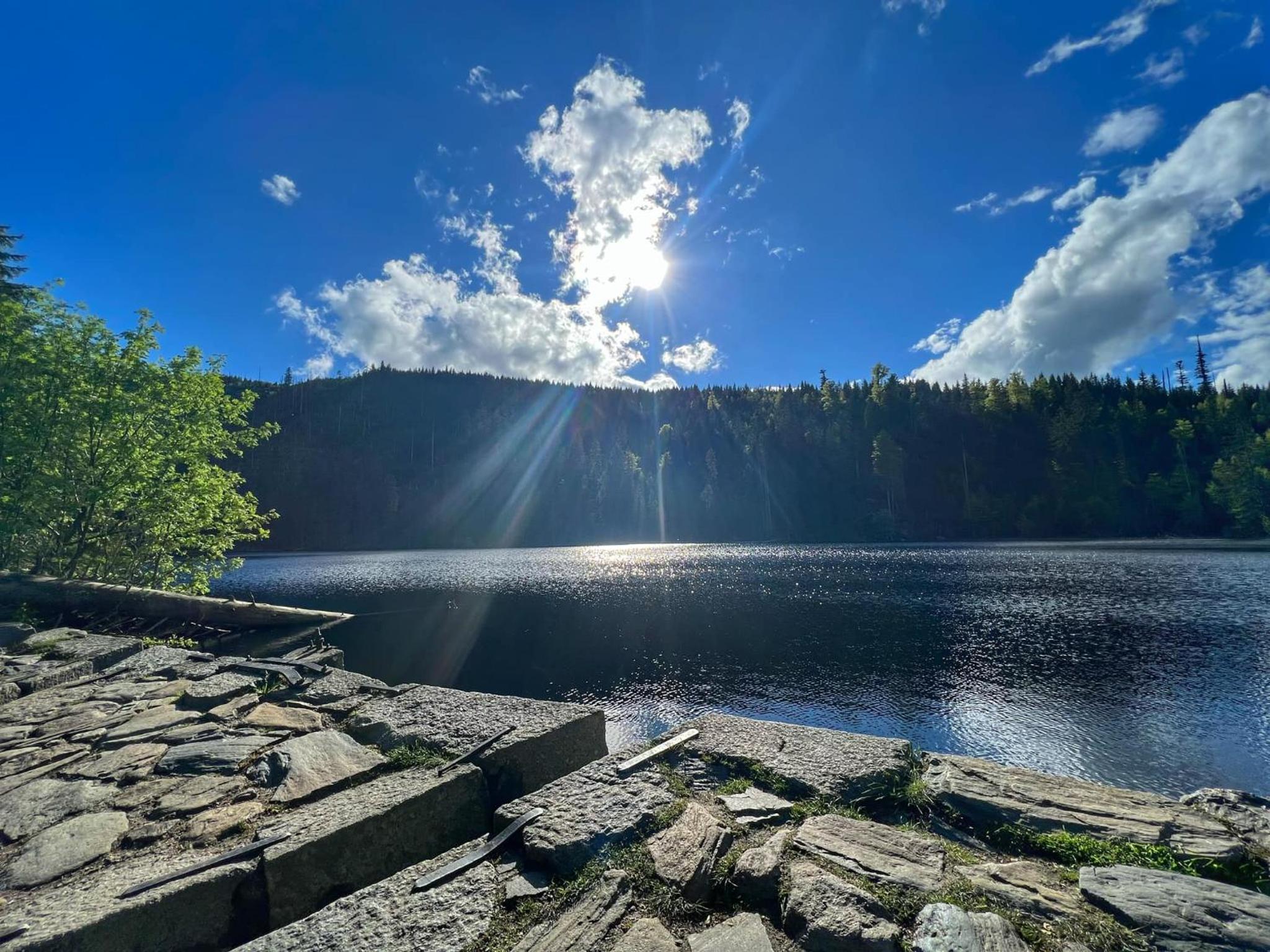 Apartmán REZE Šumava