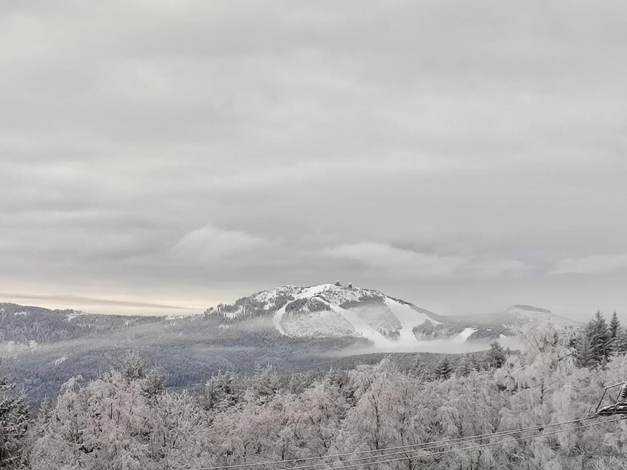 Apartmán REZE Šumava