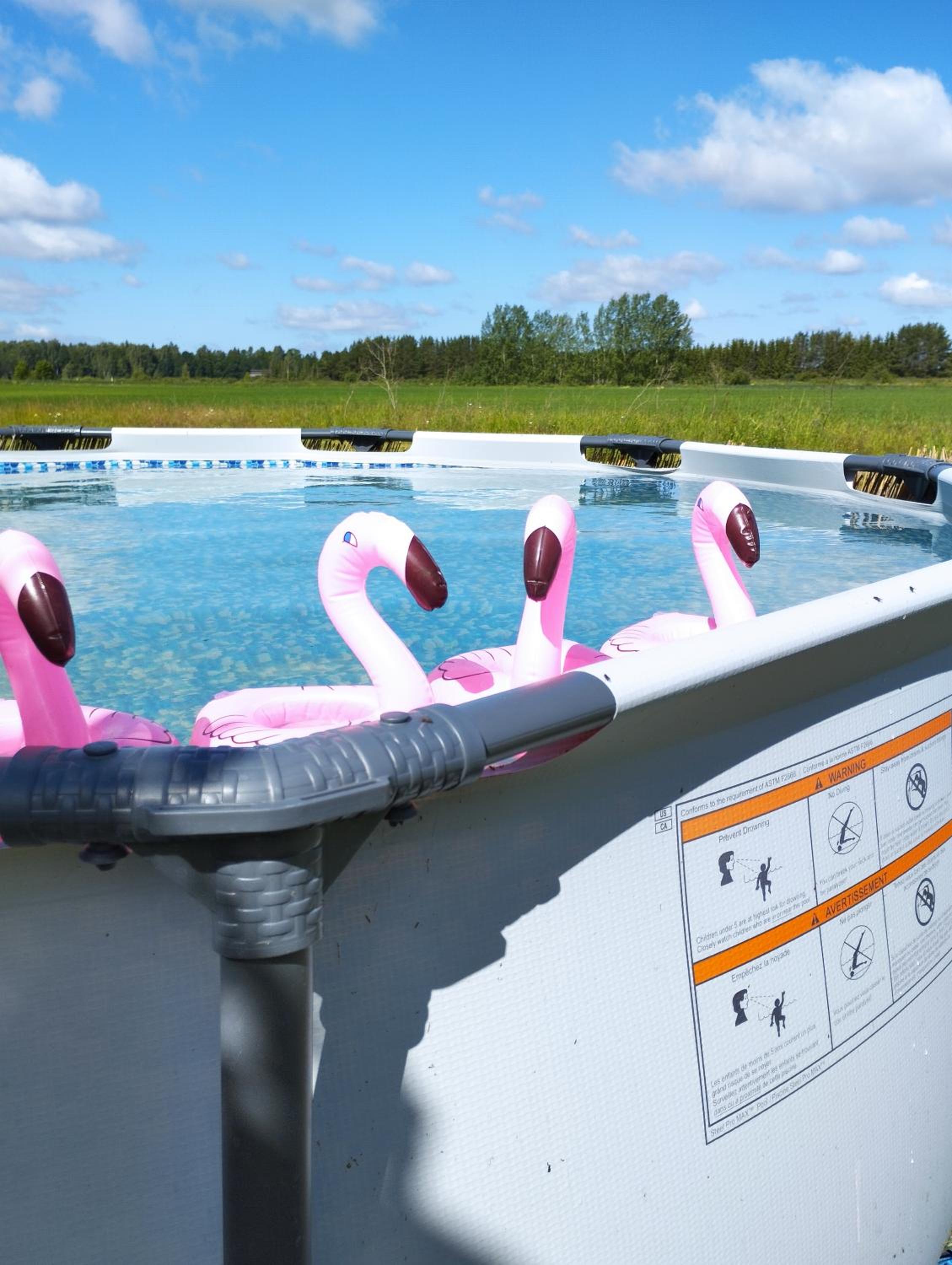 Sepa puhkemaja