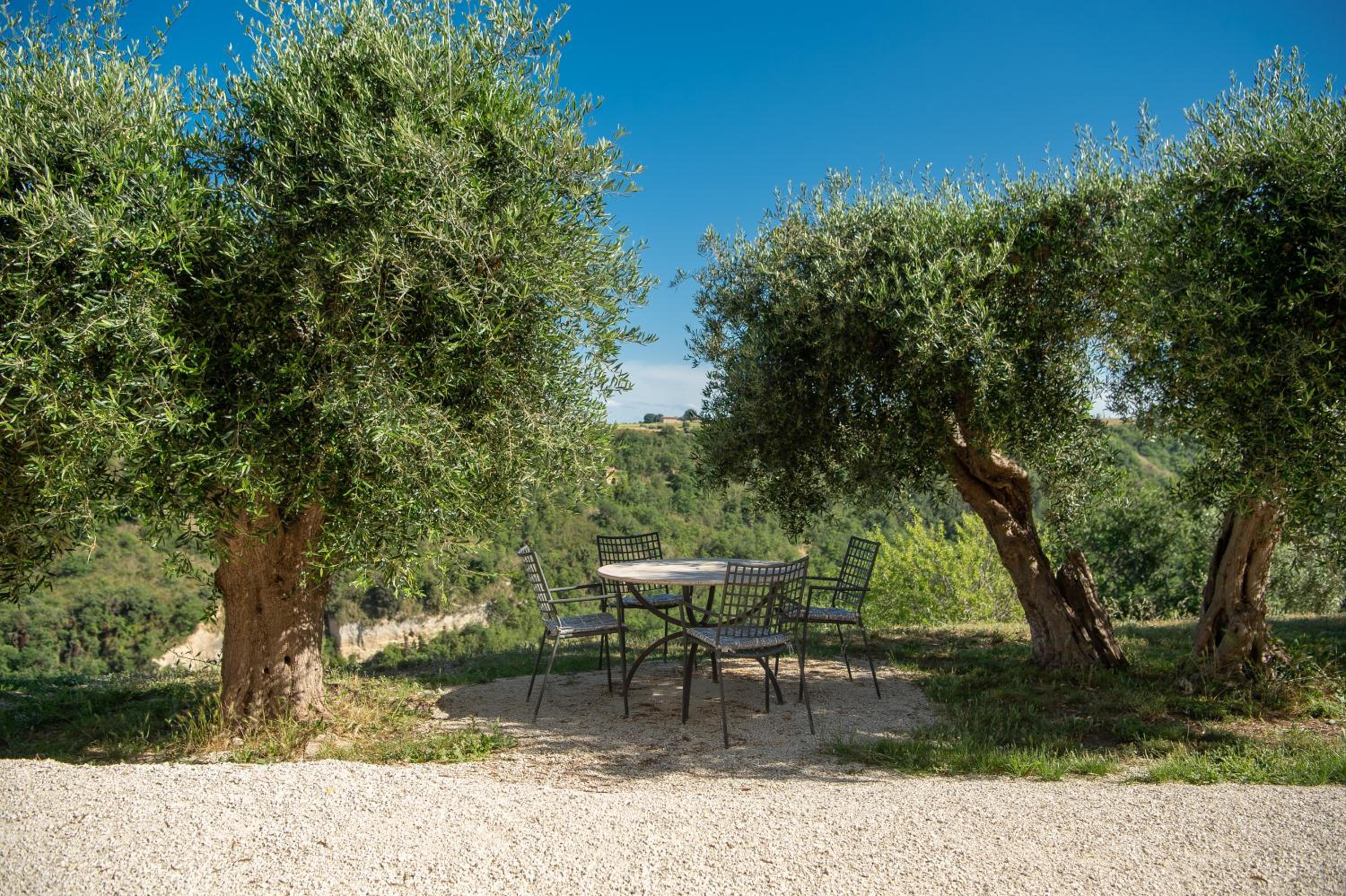 Podere Miray view 2