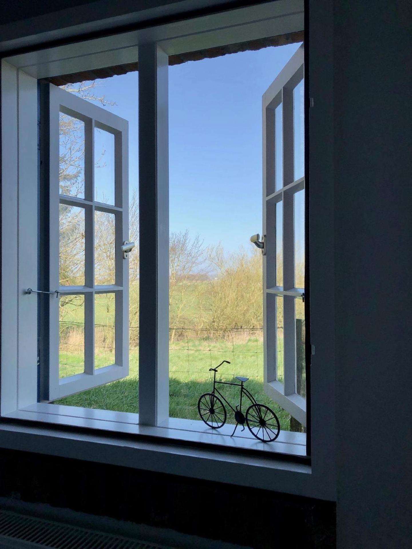 Reetdachhaus Inmitten Von Wiesen Und Feldern