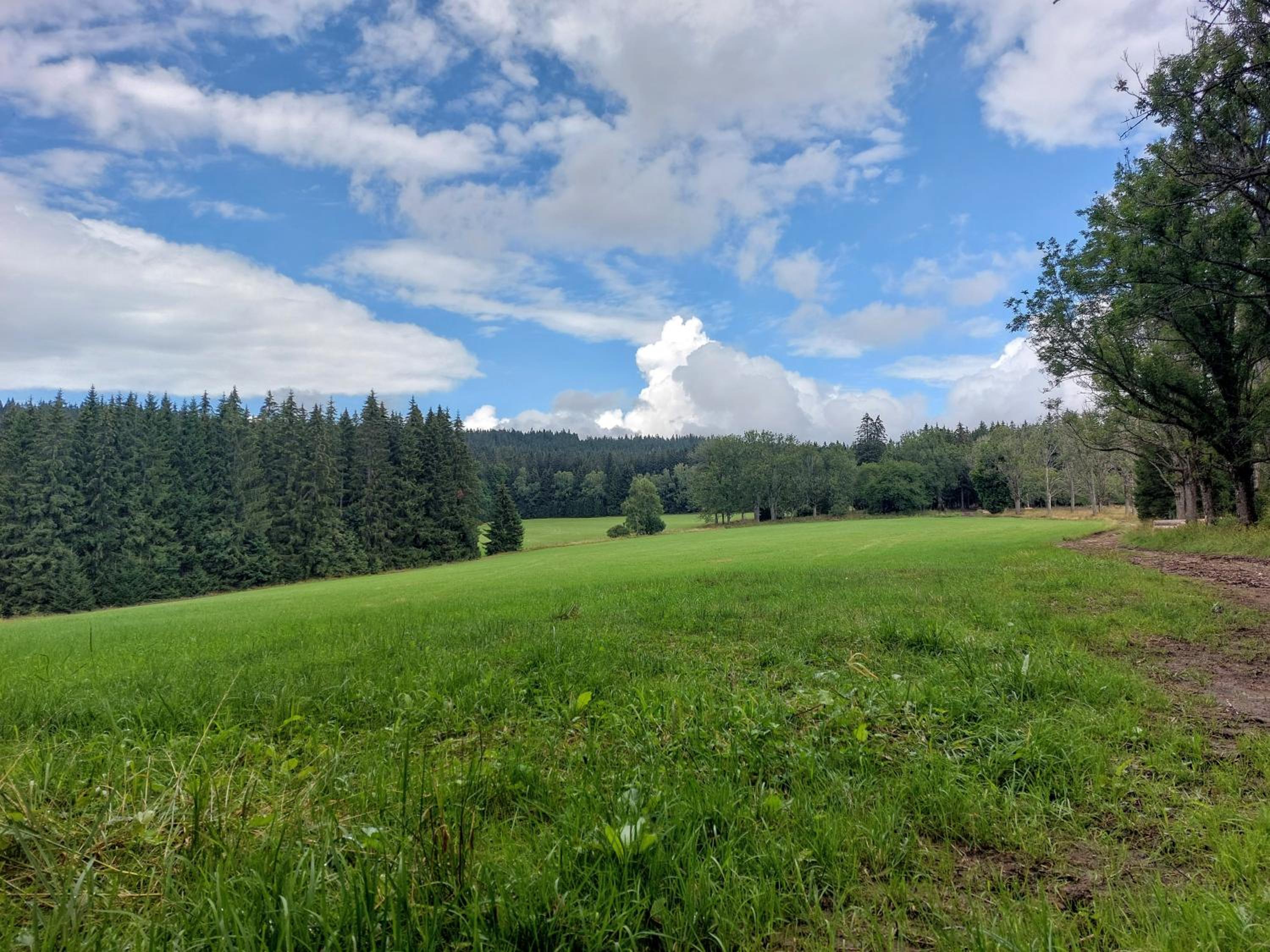 Apartmán REZE Šumava