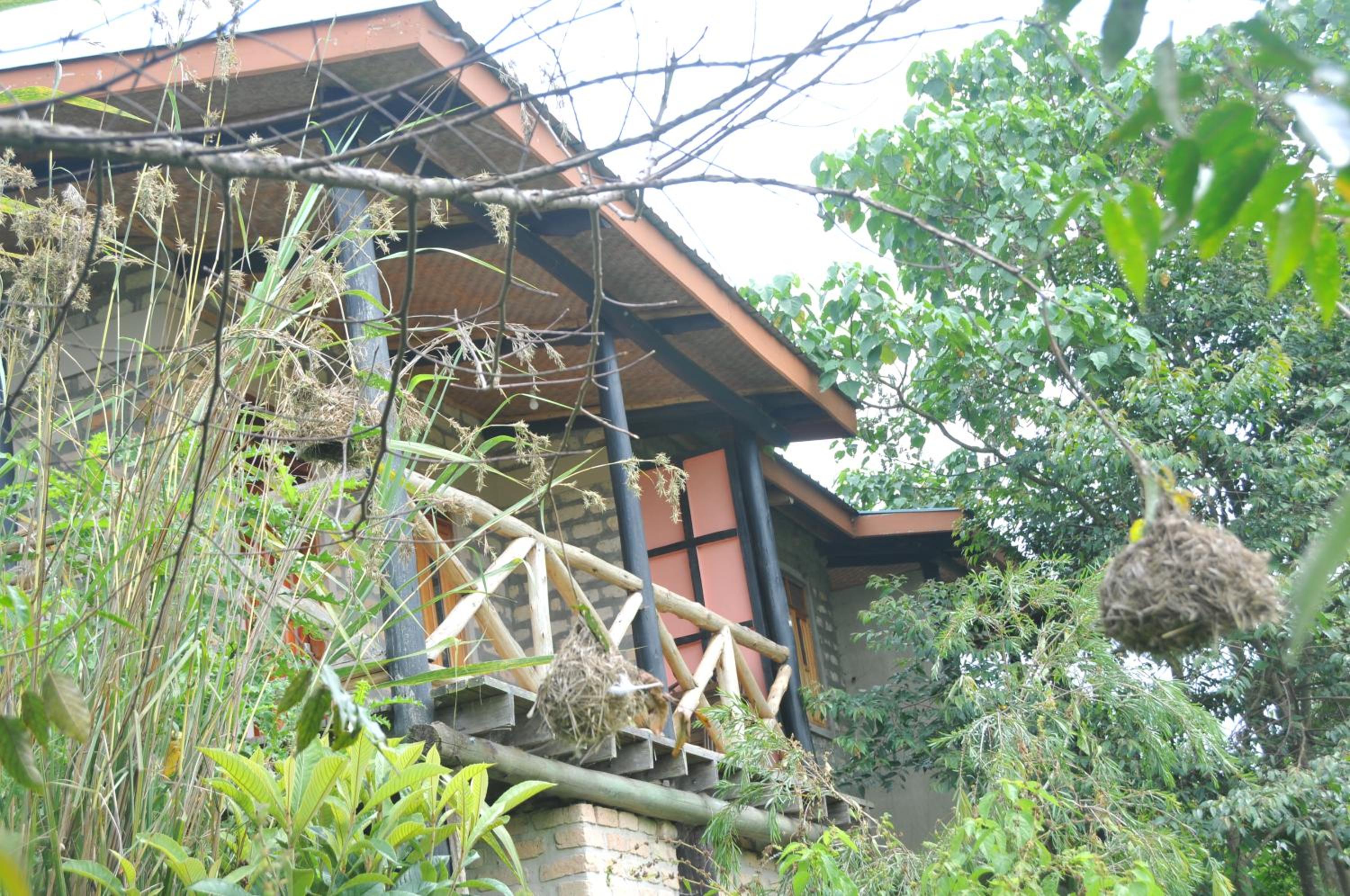 Muga Eco Village view 2