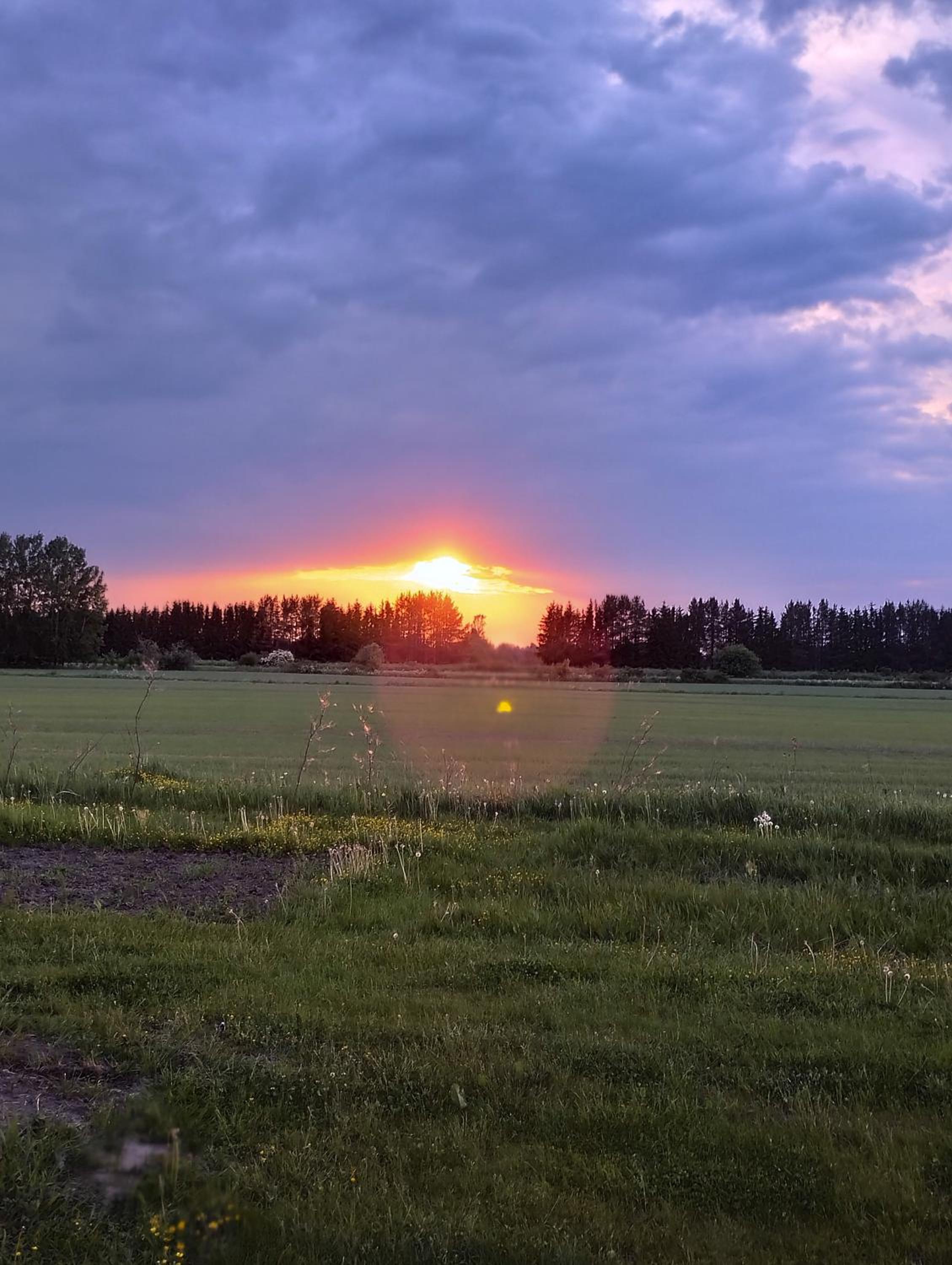 Sepa puhkemaja
