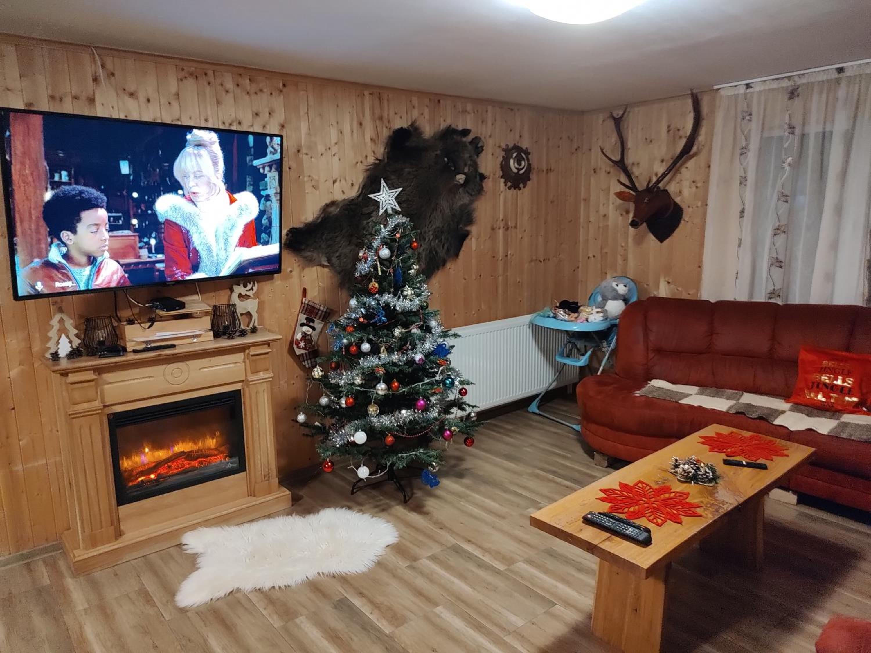 Cabana Măgura view 2