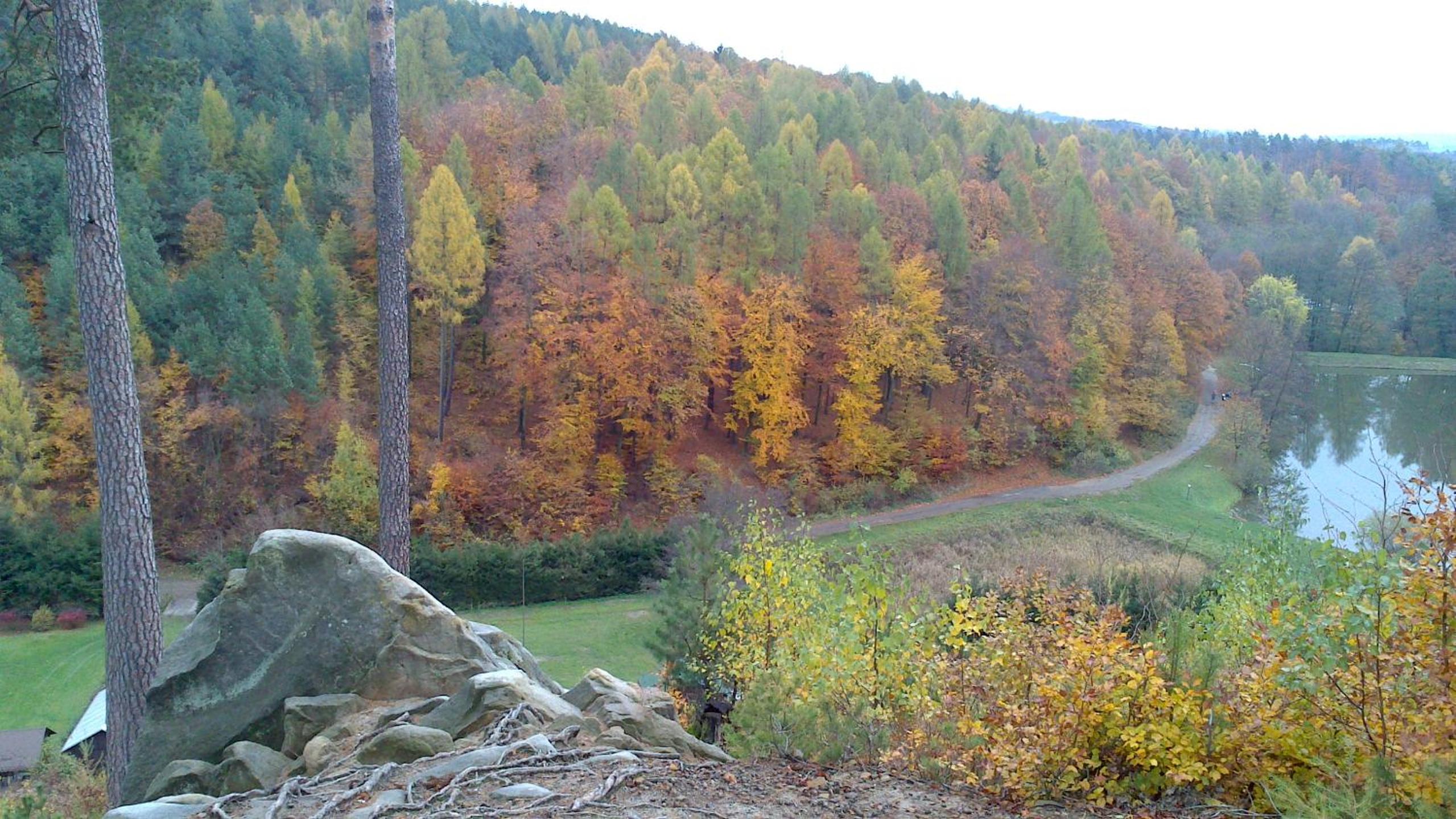 Les Park Vřesovice