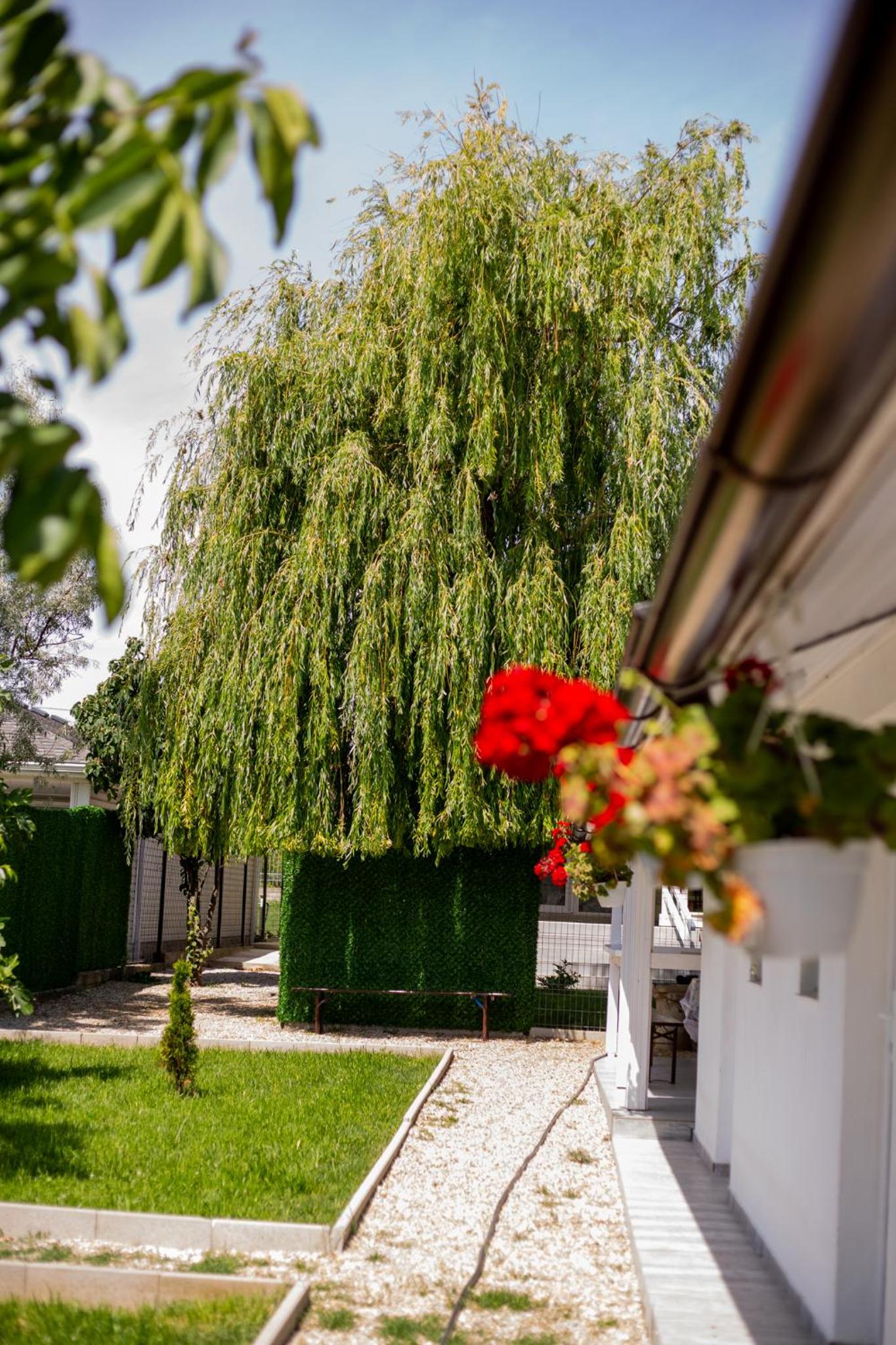 Mafmaf Tiny Houses - încasare cu card de vacanță view 2