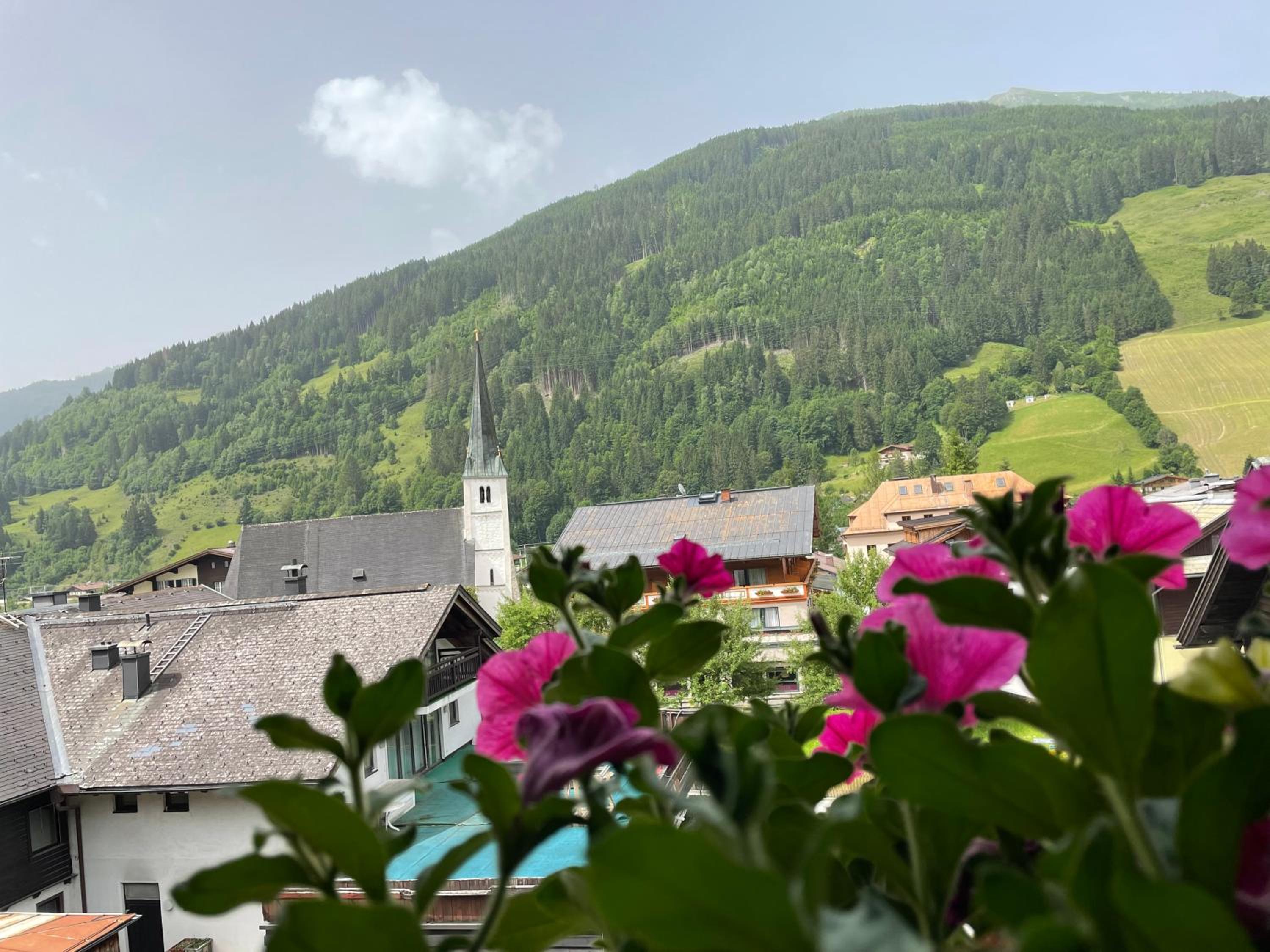 Wengerhof 