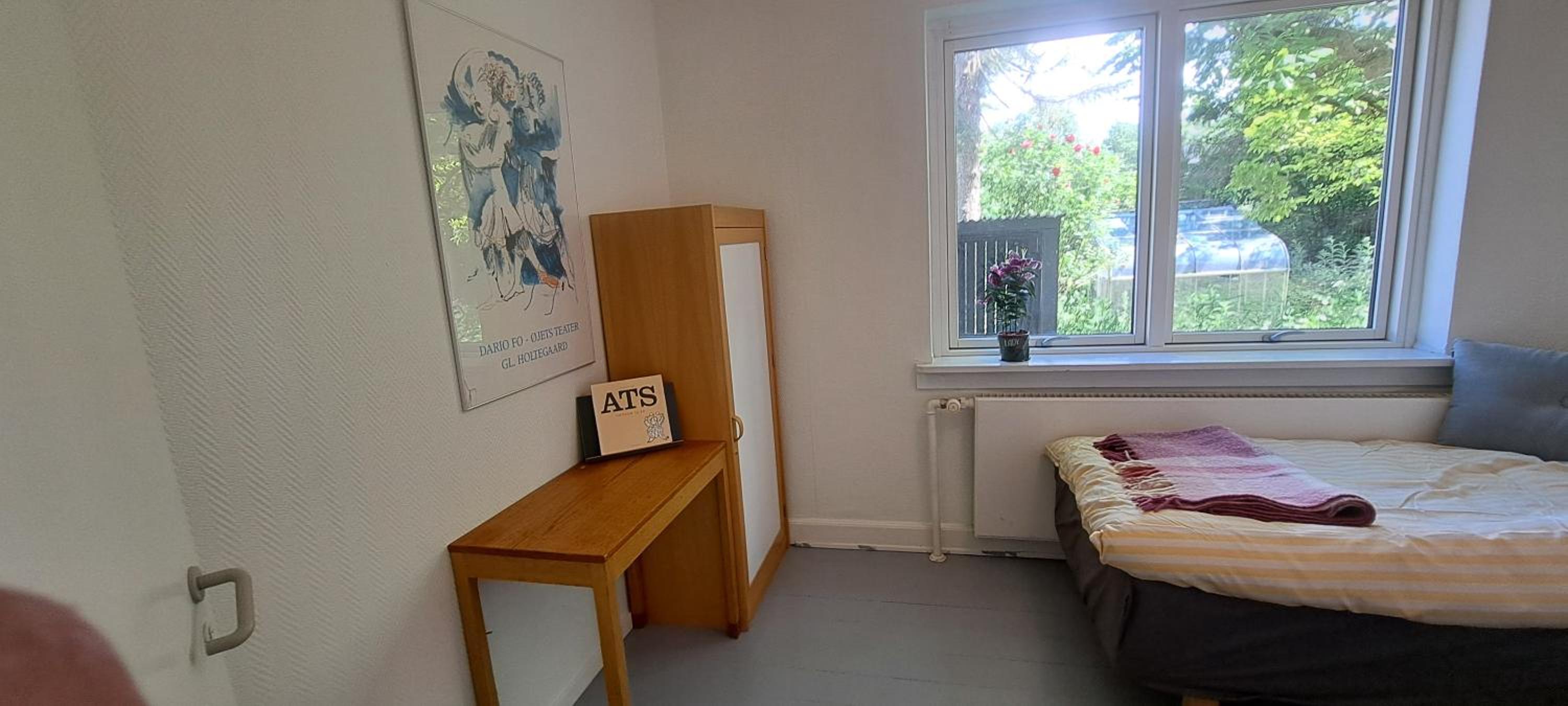 Photo 8