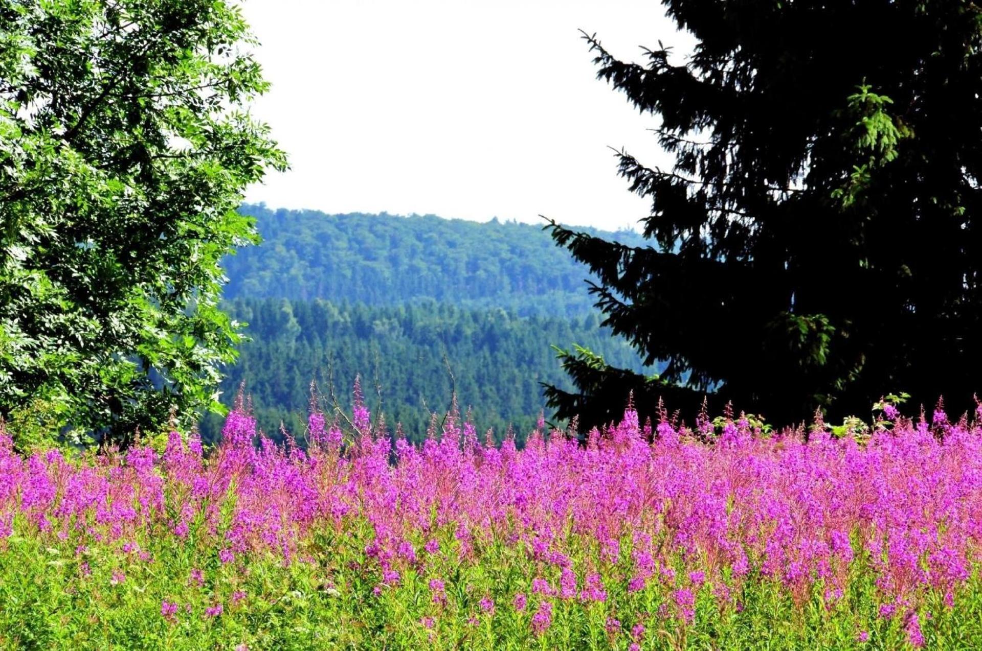 Ferienwohnung Mit Herrlicher Aussicht In Die Berge