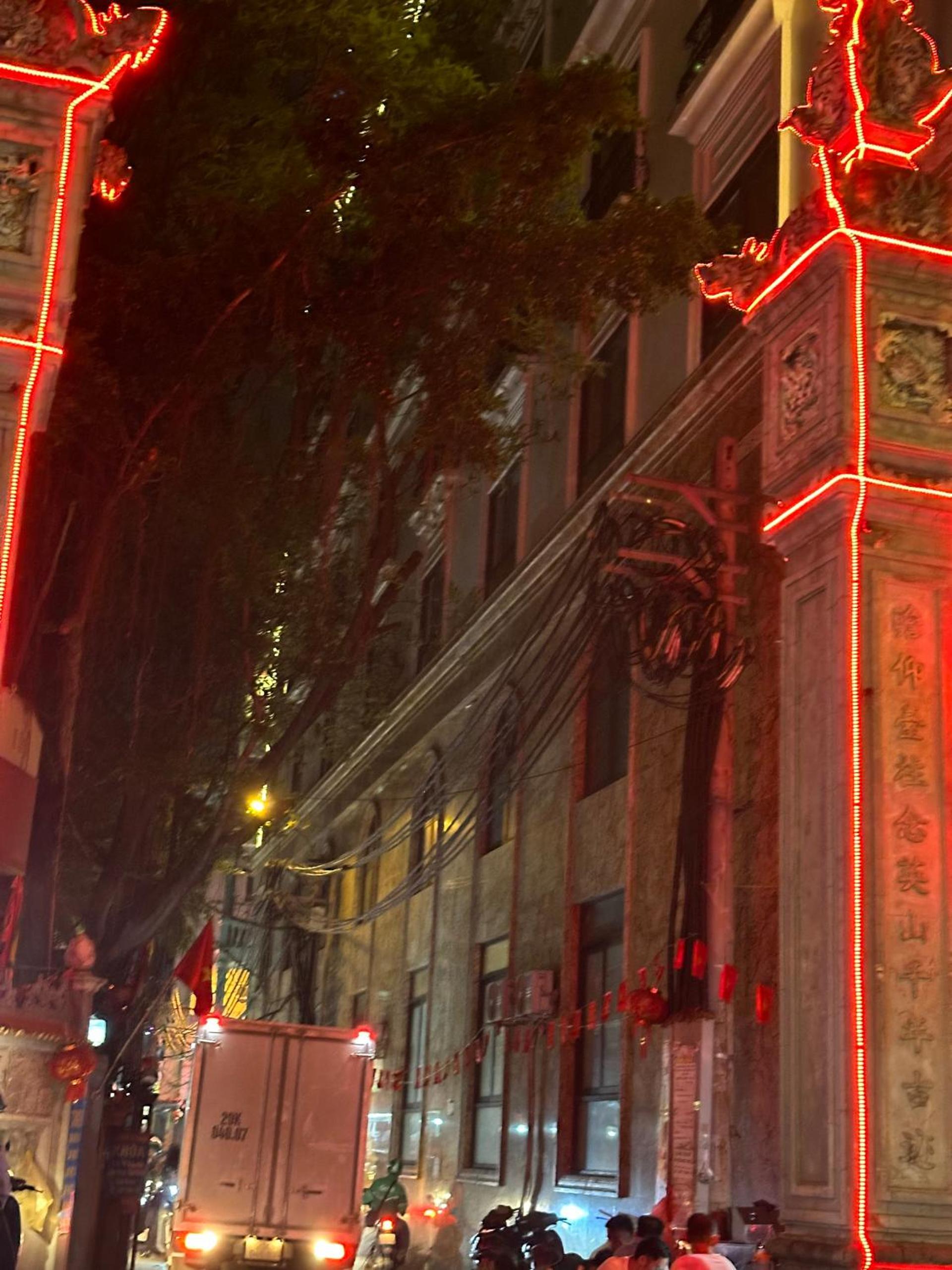 Hoa Hồng 301MD