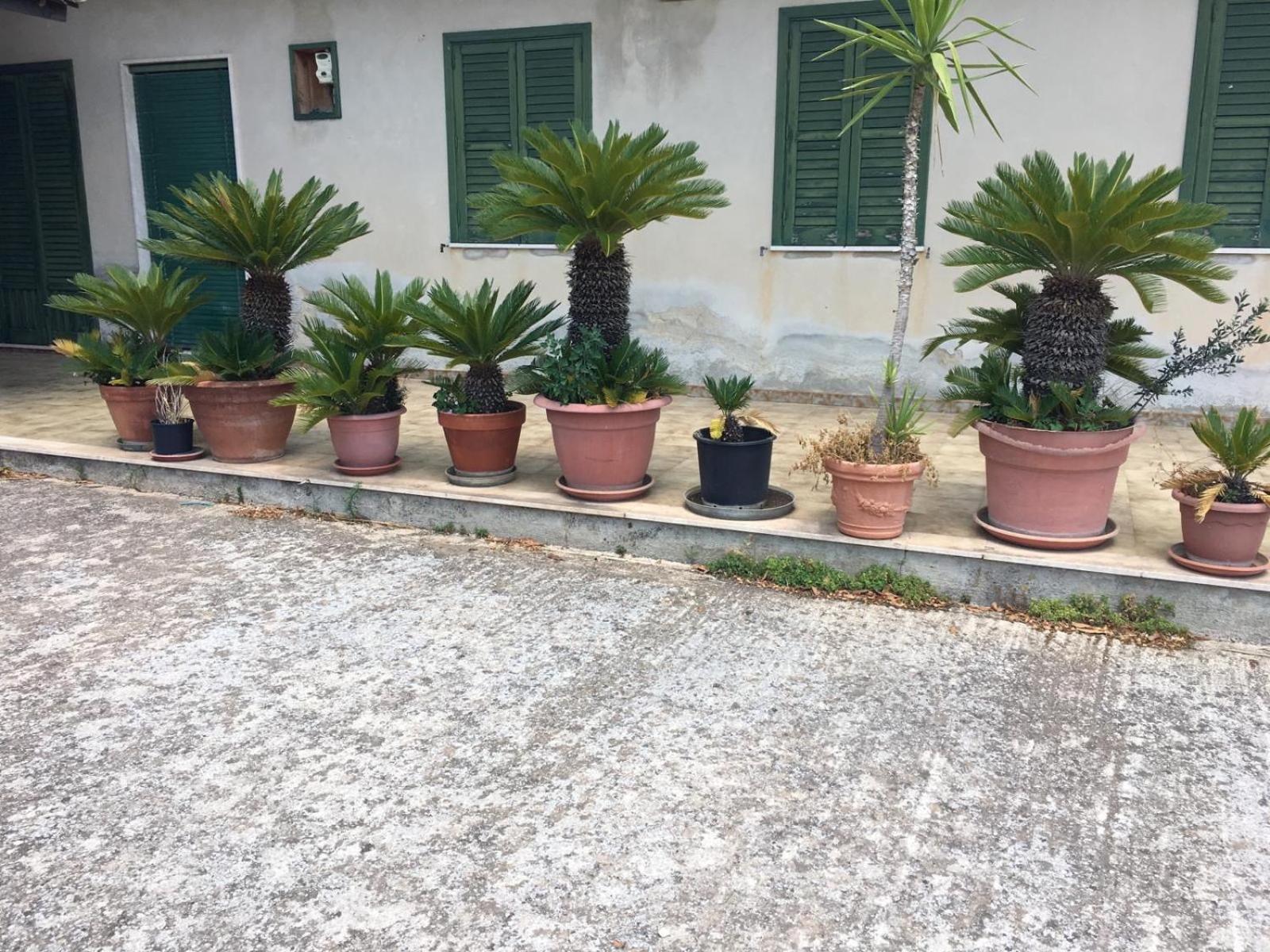 Casa San Vito