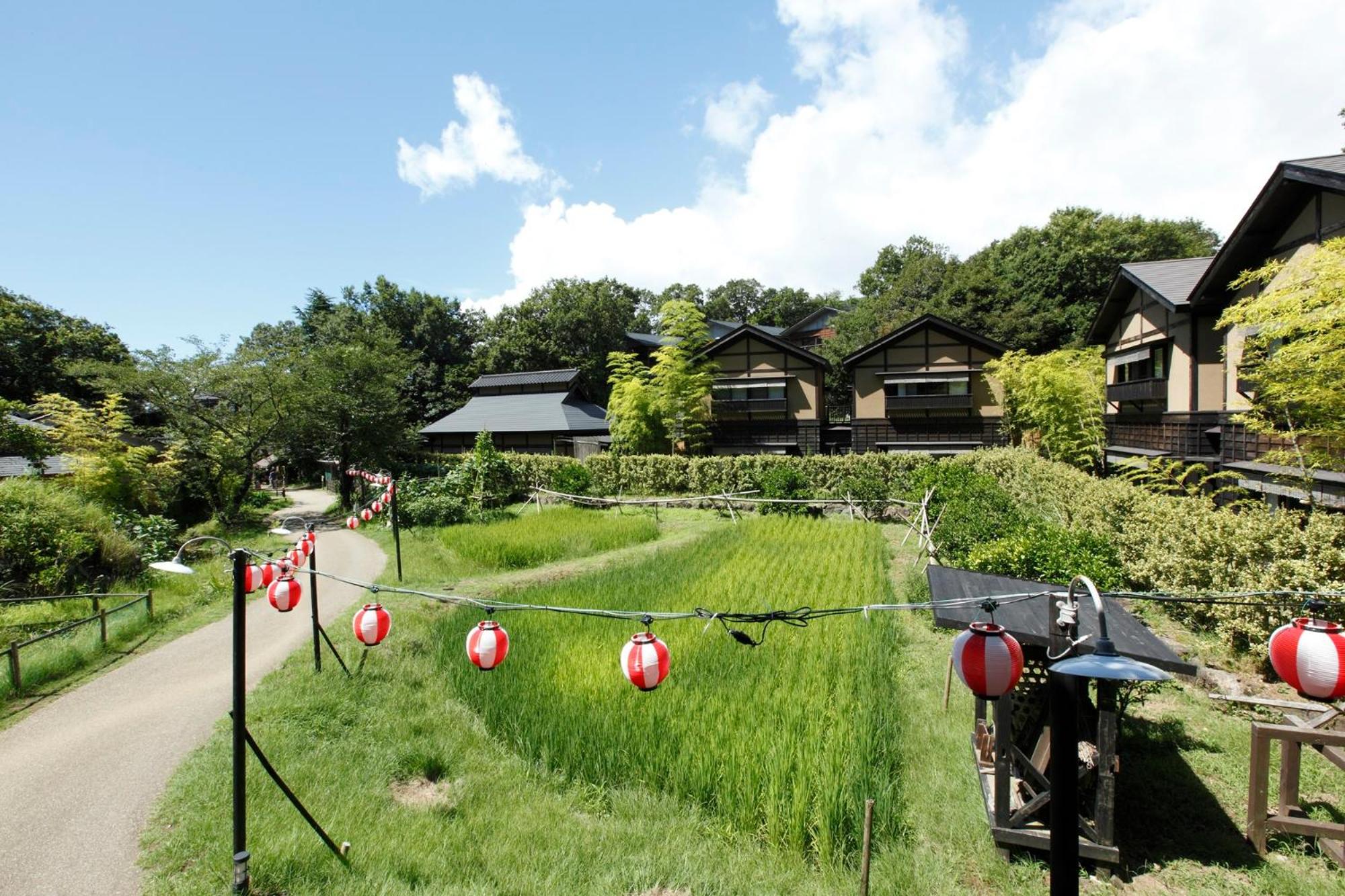 Mori no yu Kira No Sato Reopening on December 22, 2025