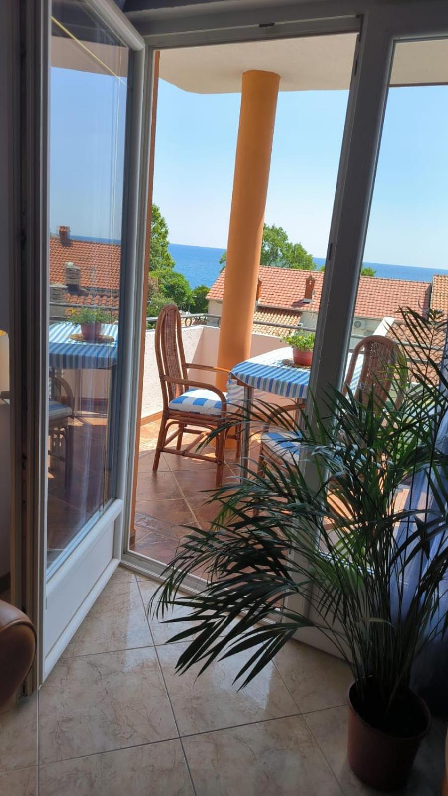 Apartment Dmitr Petrovac view 4