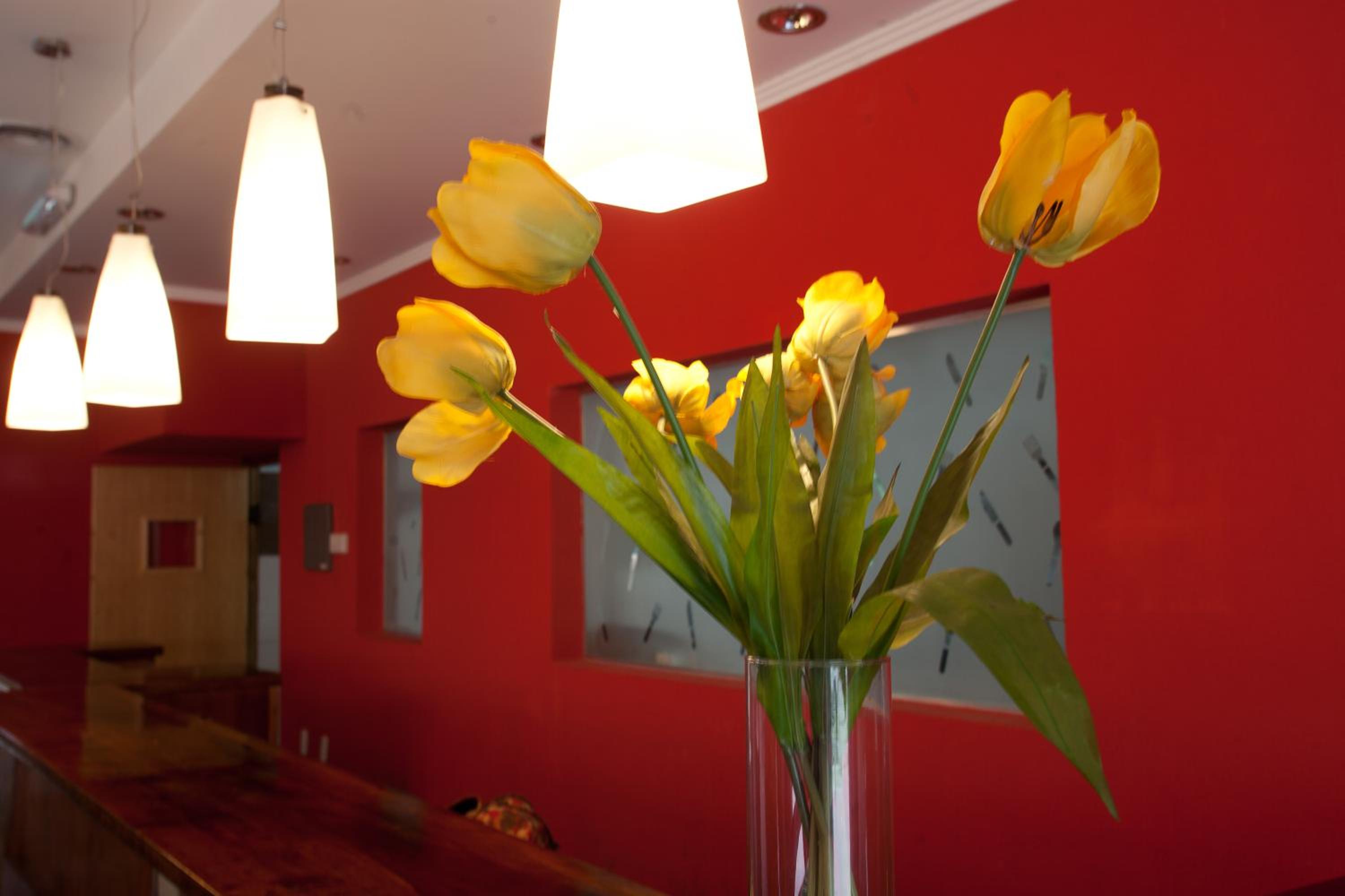 Hotel El Cisne
