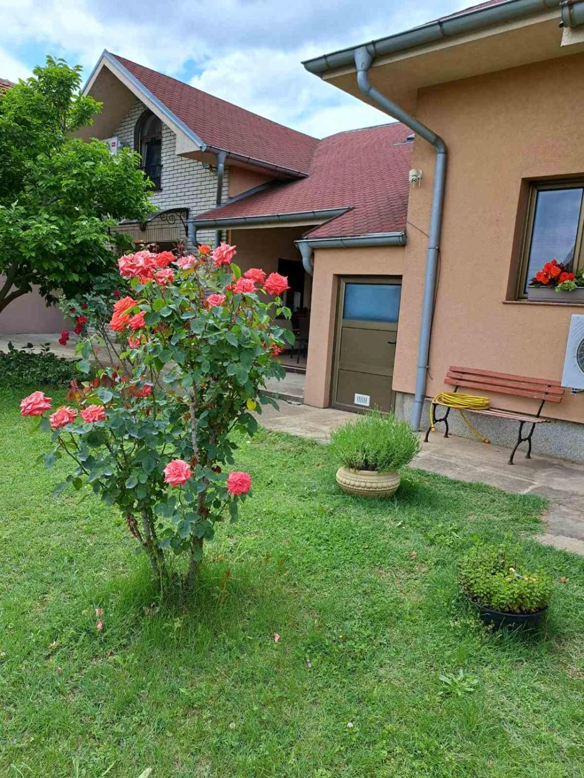 Villa Nena view 2