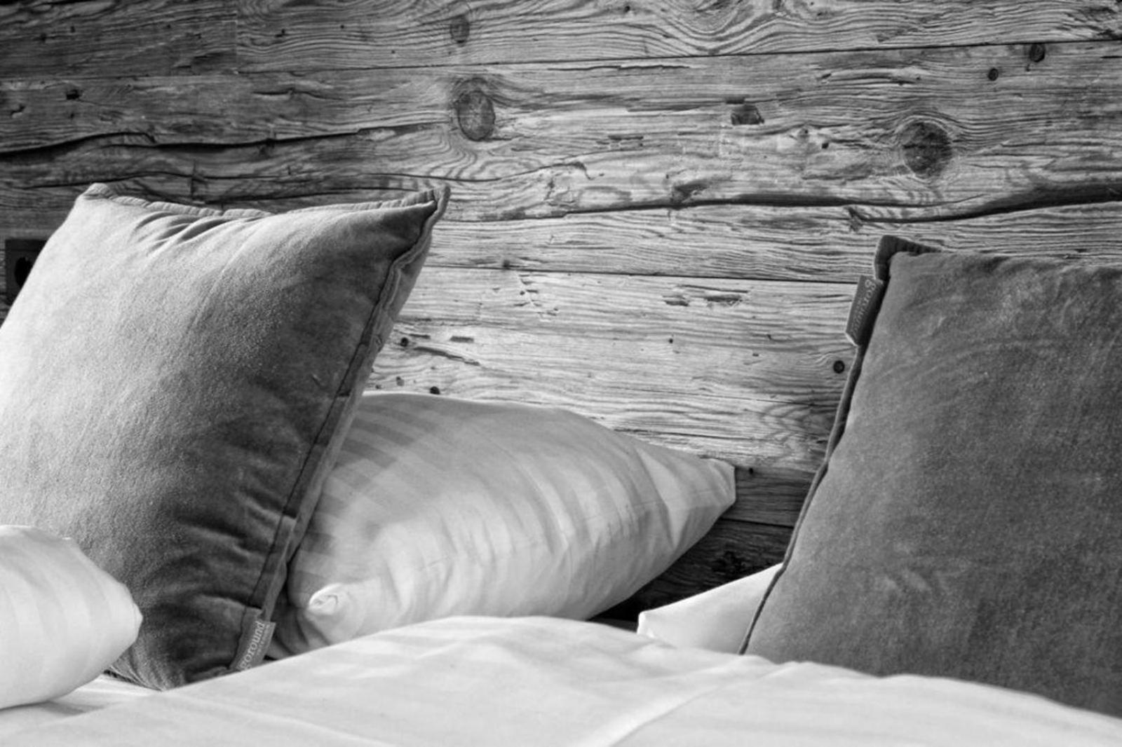 Chalet Zillertal Arena 3