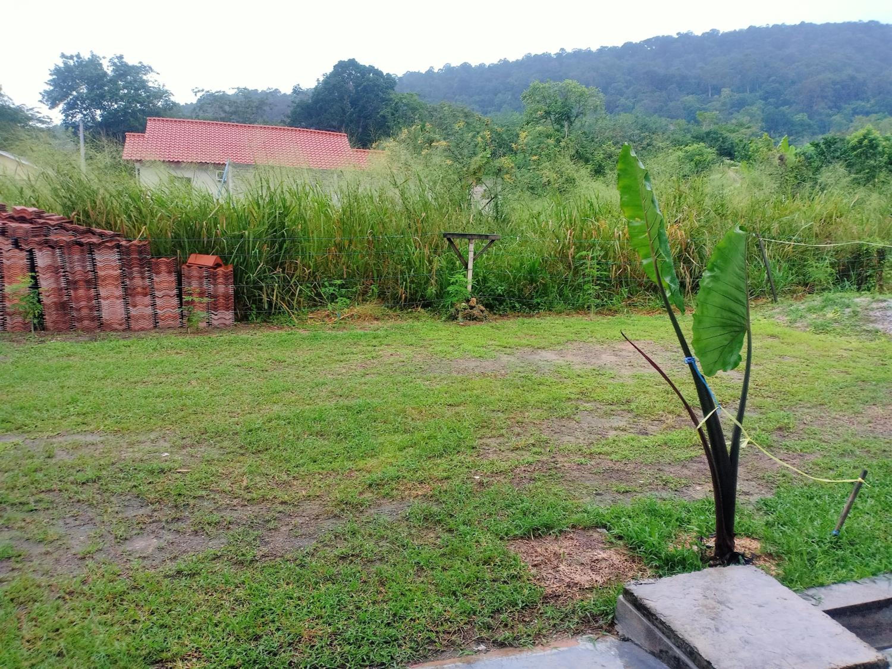 Rossy Homestay