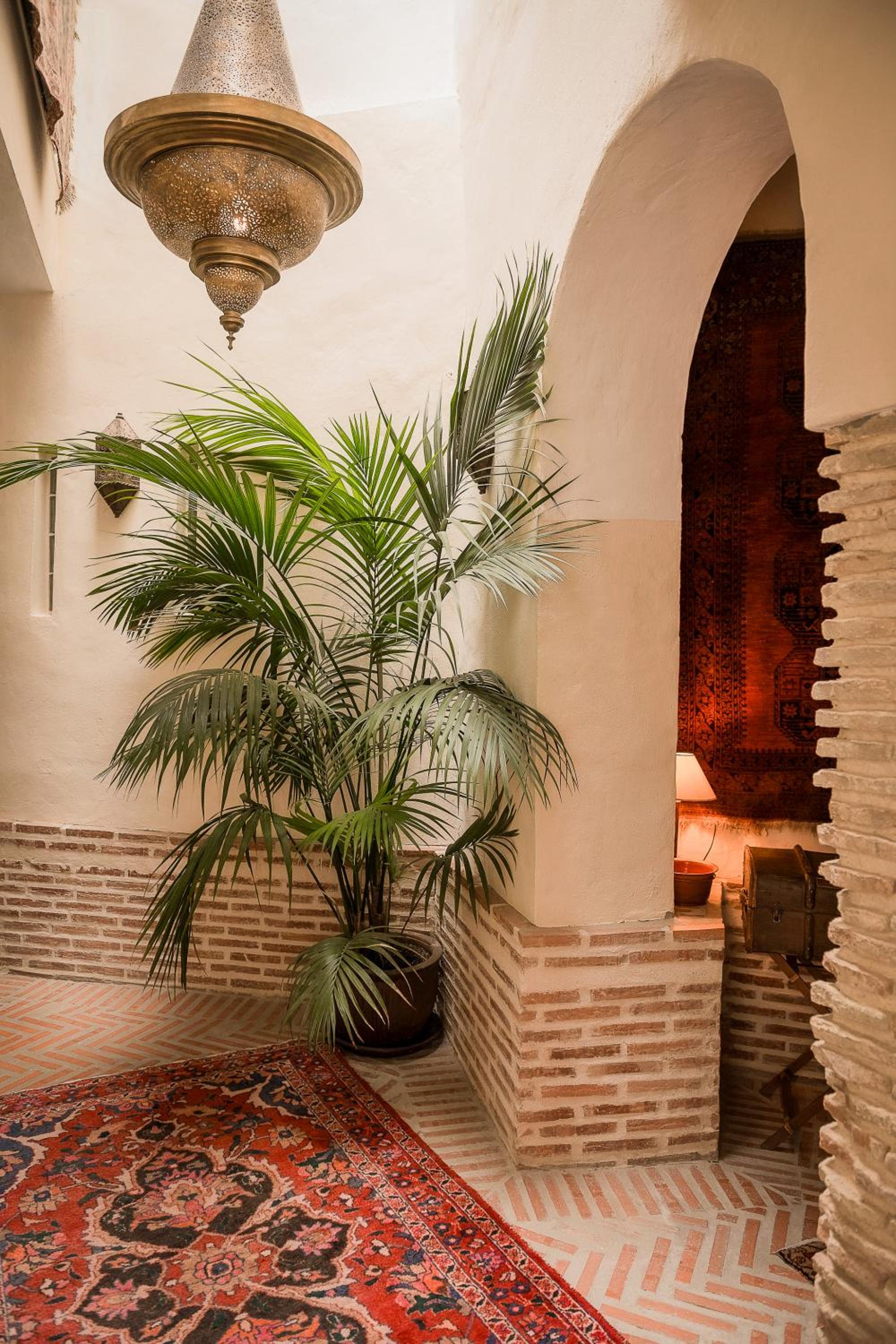 Las Palmeras del Califa