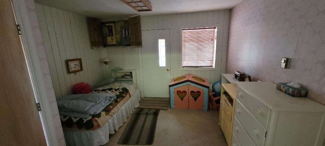 Polar Bear Bed and Breakfast
