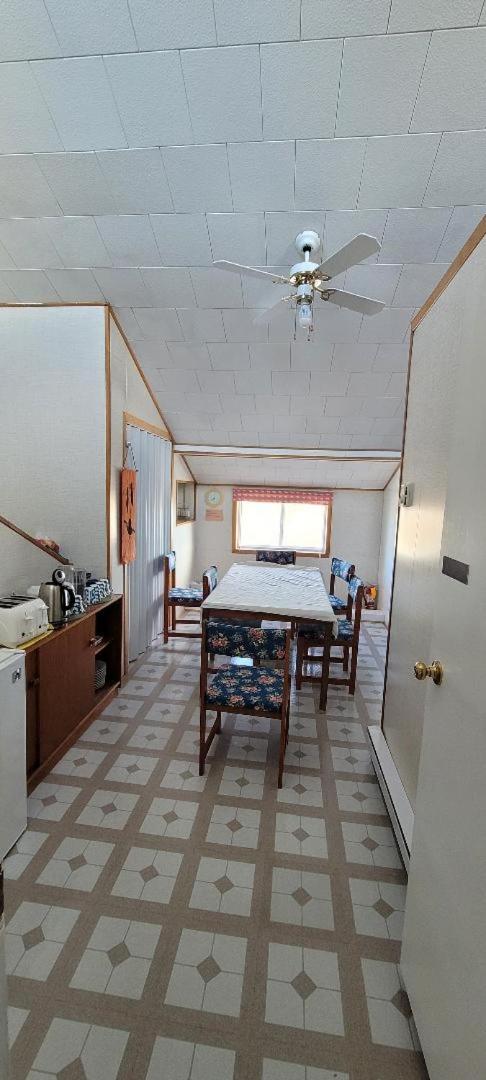 Polar Bear Bed and Breakfast