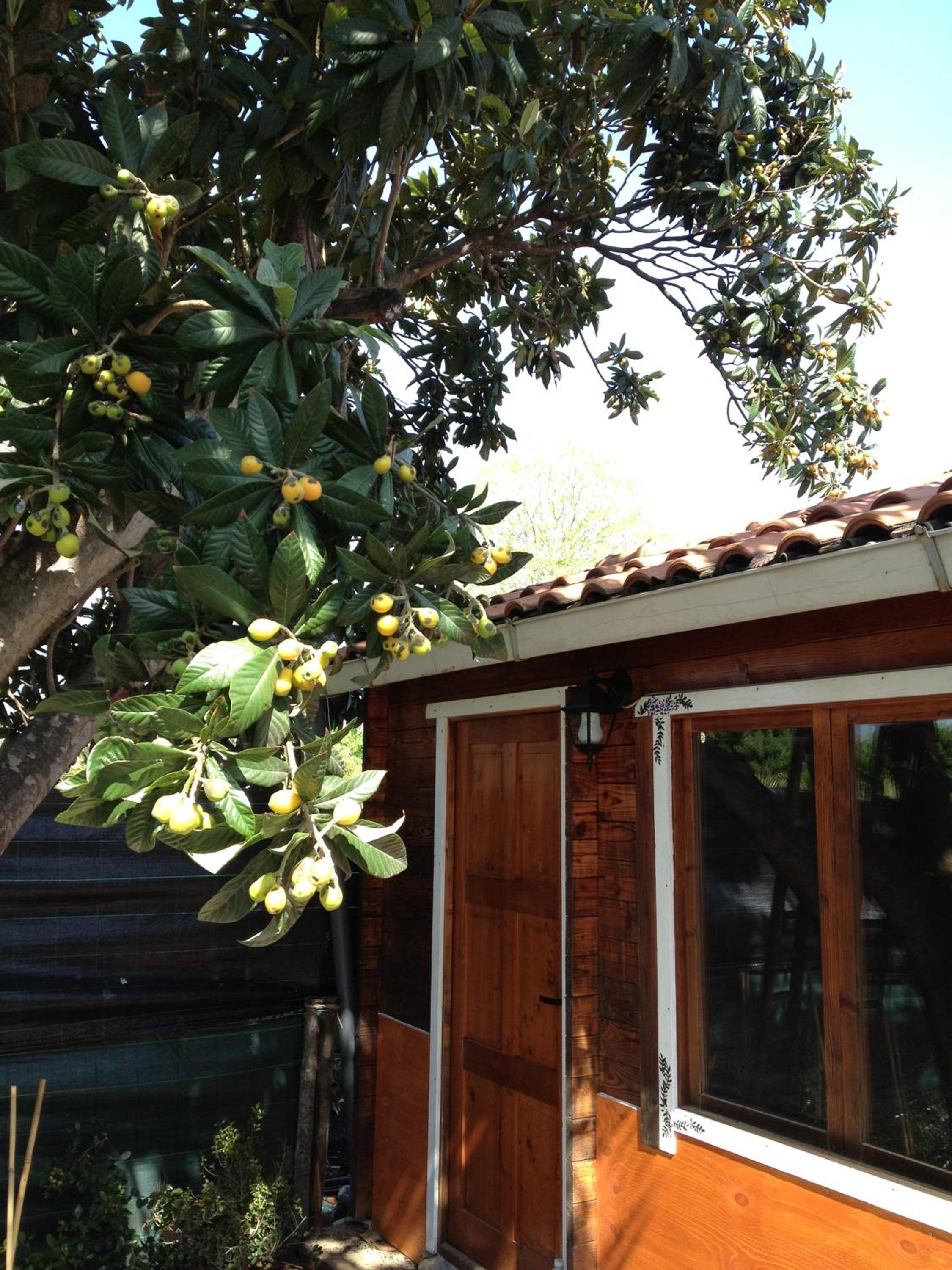 Photo 14