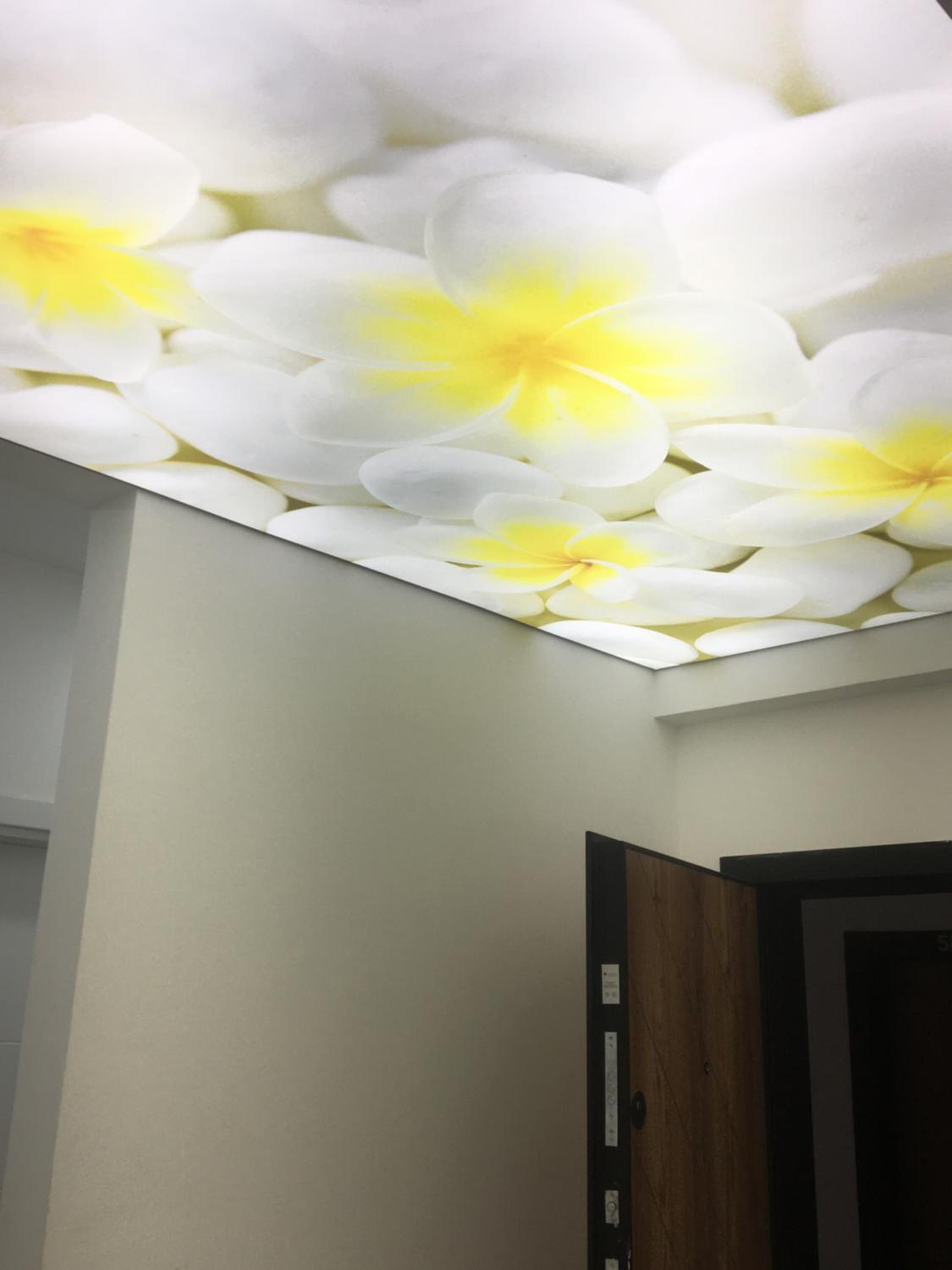 Afram apartments