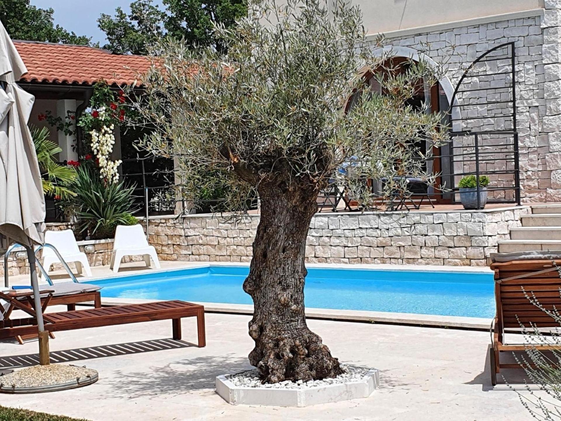 Charmante Villa Histra Mit Pool Und Großem Garten view 4