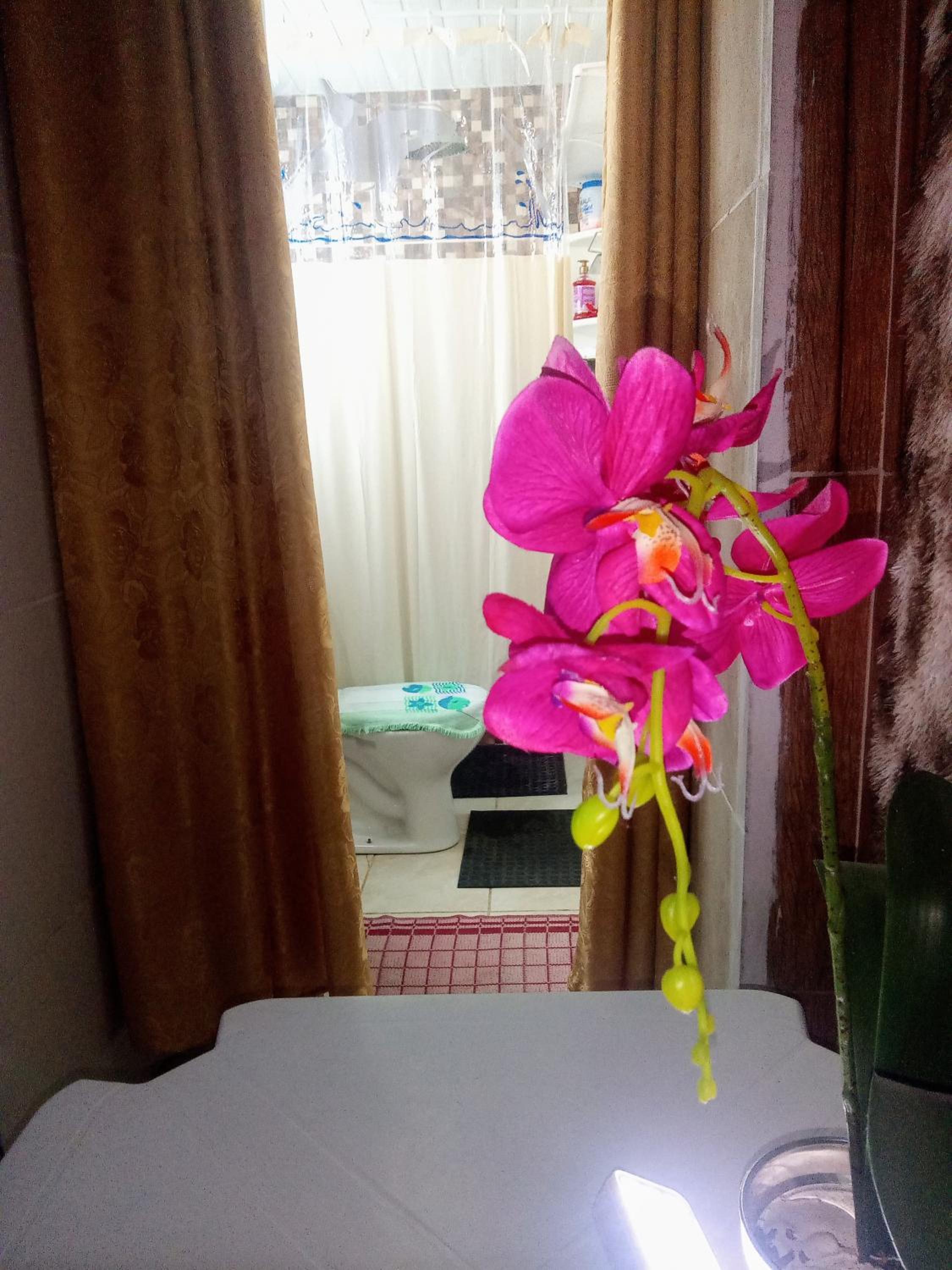 Photo 51